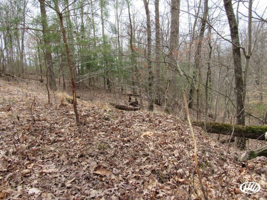 Evans, Jackson County, WV Recreational Property, Timberland Property
