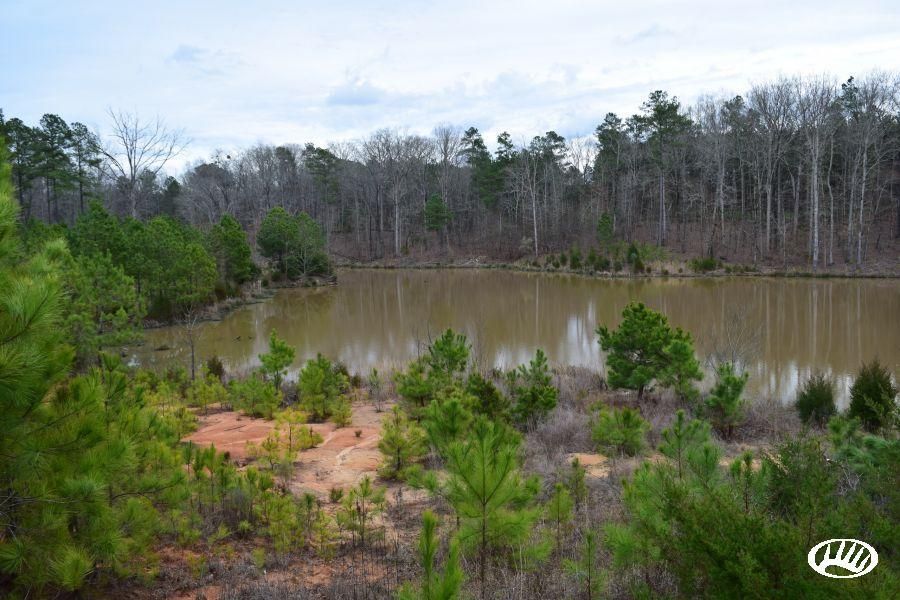 Elberton, Elbert County, GA Recreational Property, Timberland Property