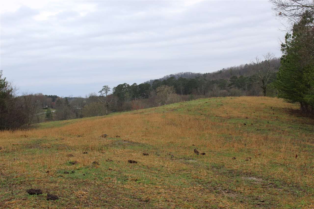 Old Fort, Polk County, TN Undeveloped Land for sale Property ID