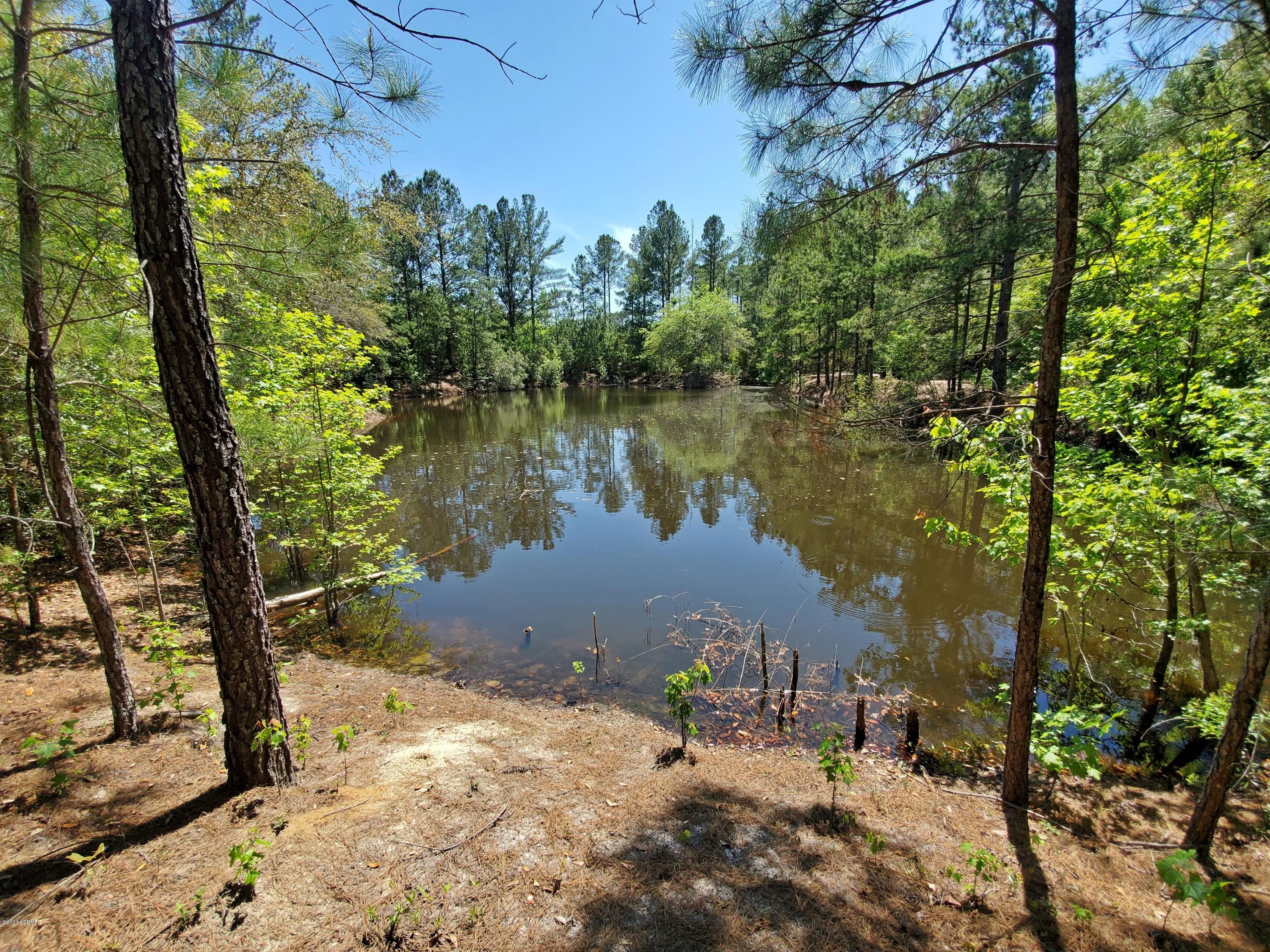 Ridgeland, Jasper County, SC Undeveloped Land for sale Property ID