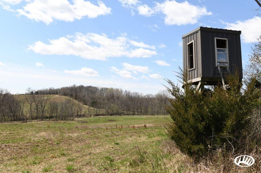 Allerton, Wayne County, IA Recreational Property, Timberland Property