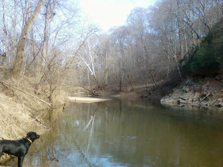 La Crosse, Mecklenburg County, VA Recreational Property, Hunting