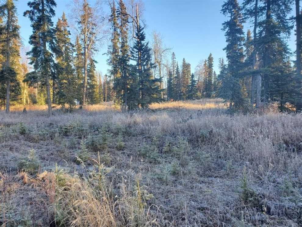 Nikiski, Kenai Peninsula Borough, AK Recreational Property, Hunting