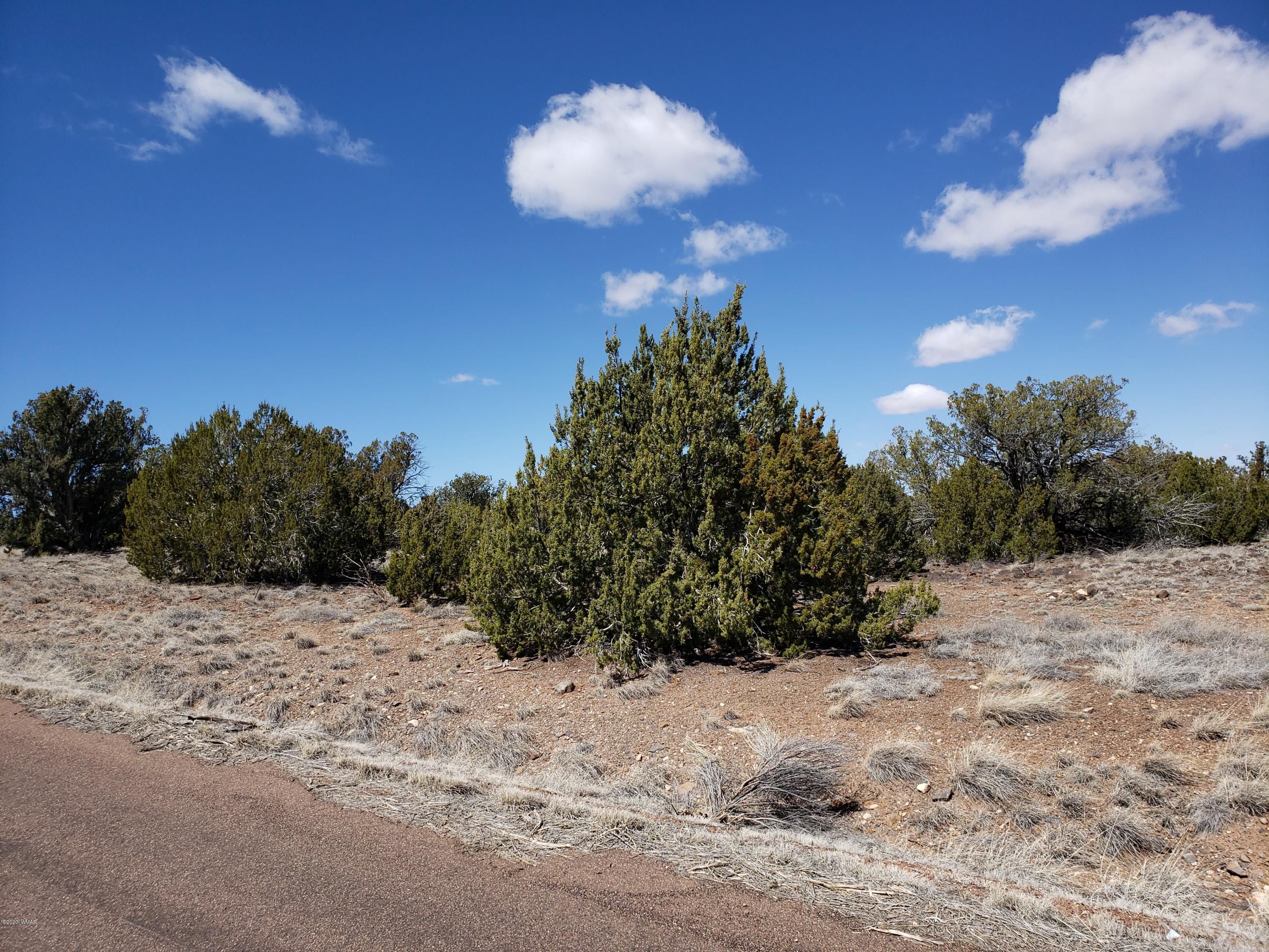 Shumway, Navajo County, AZ Undeveloped Land, Homesites for sale