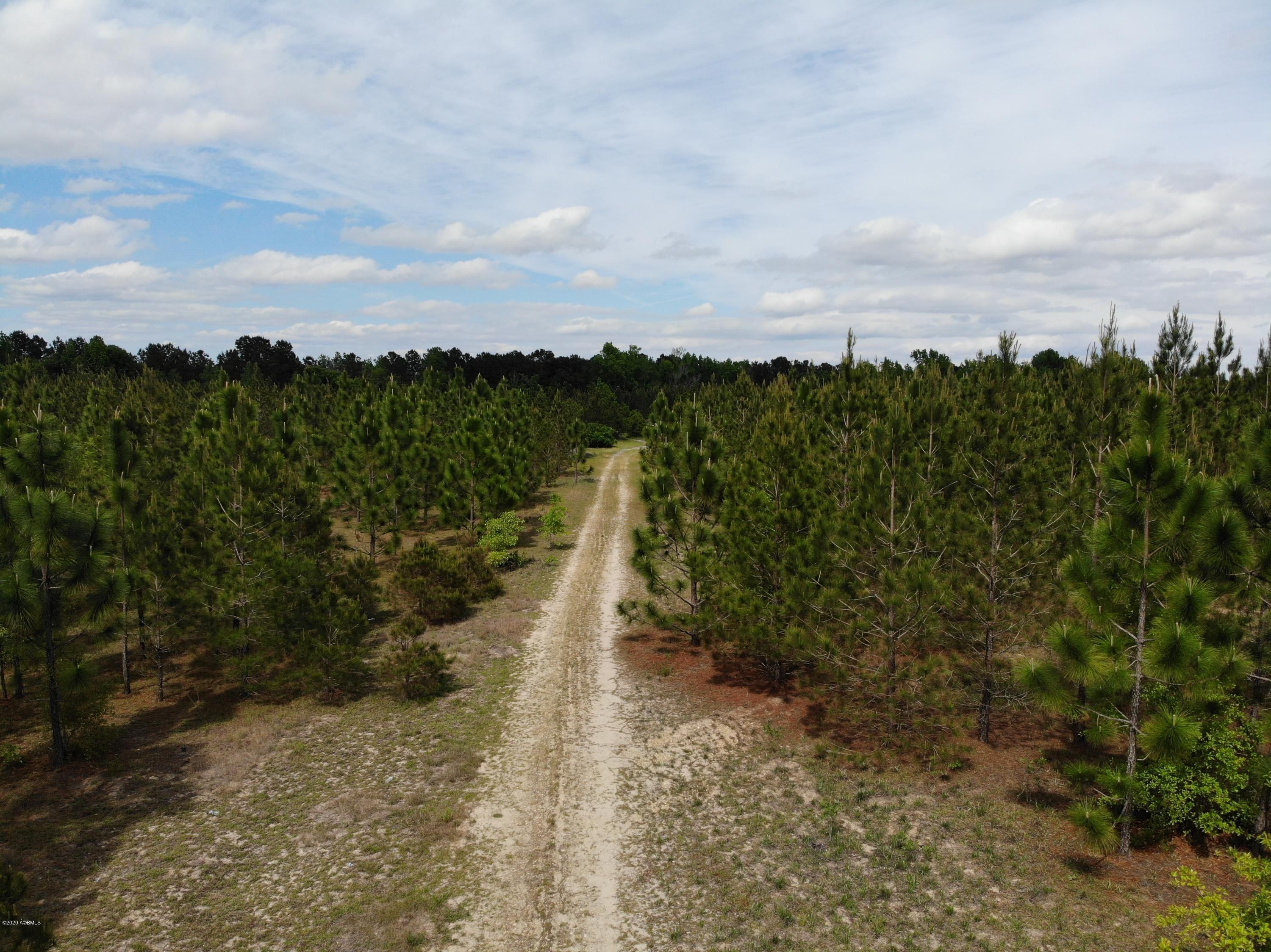 Allendale, Allendale County, SC Undeveloped Land for sale Property ID 337840168 LandWatch