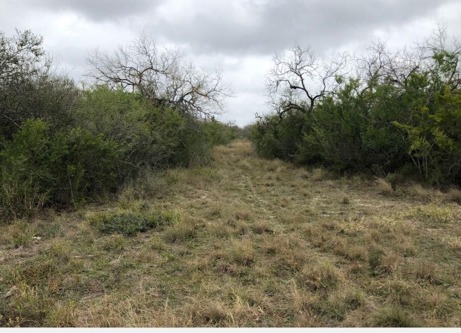 Alice, Jim Wells County, TX Farms and Ranches, Recreational Property, Undeveloped Land for sale