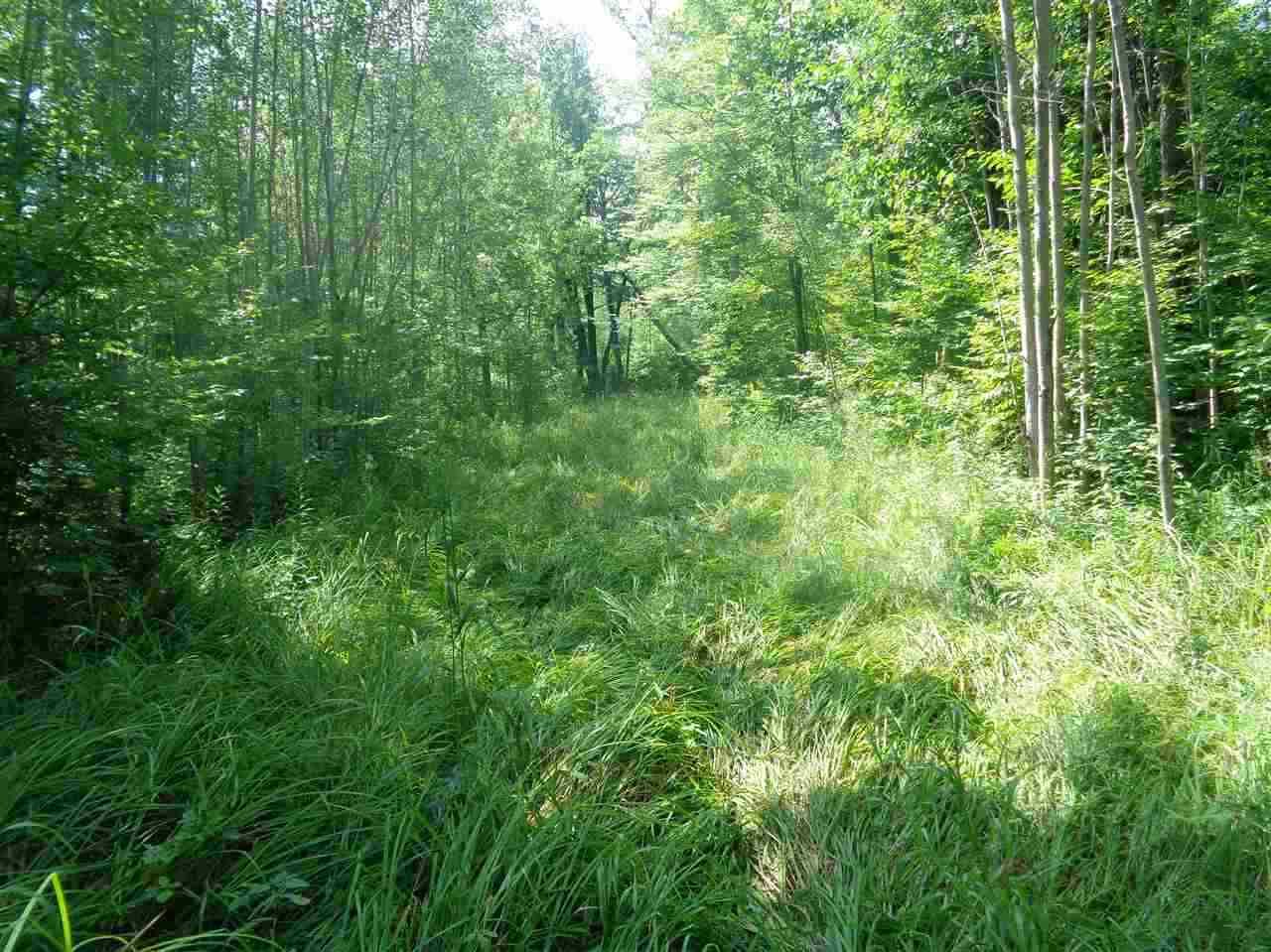 Sheldon, Rusk County, WI Undeveloped Land, Lakefront Property
