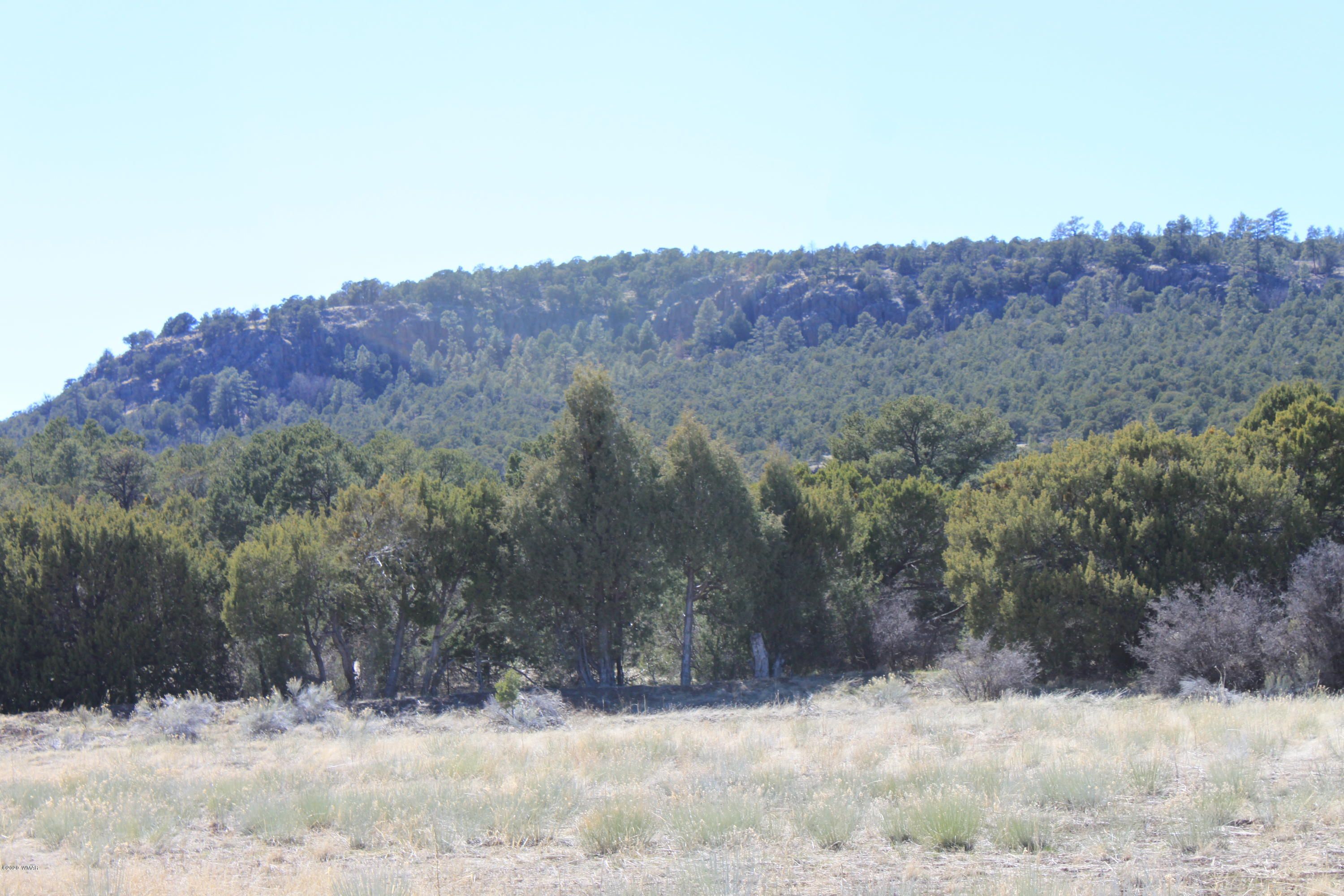 Nutrioso, Apache County, AZ Undeveloped Land for sale Property ID