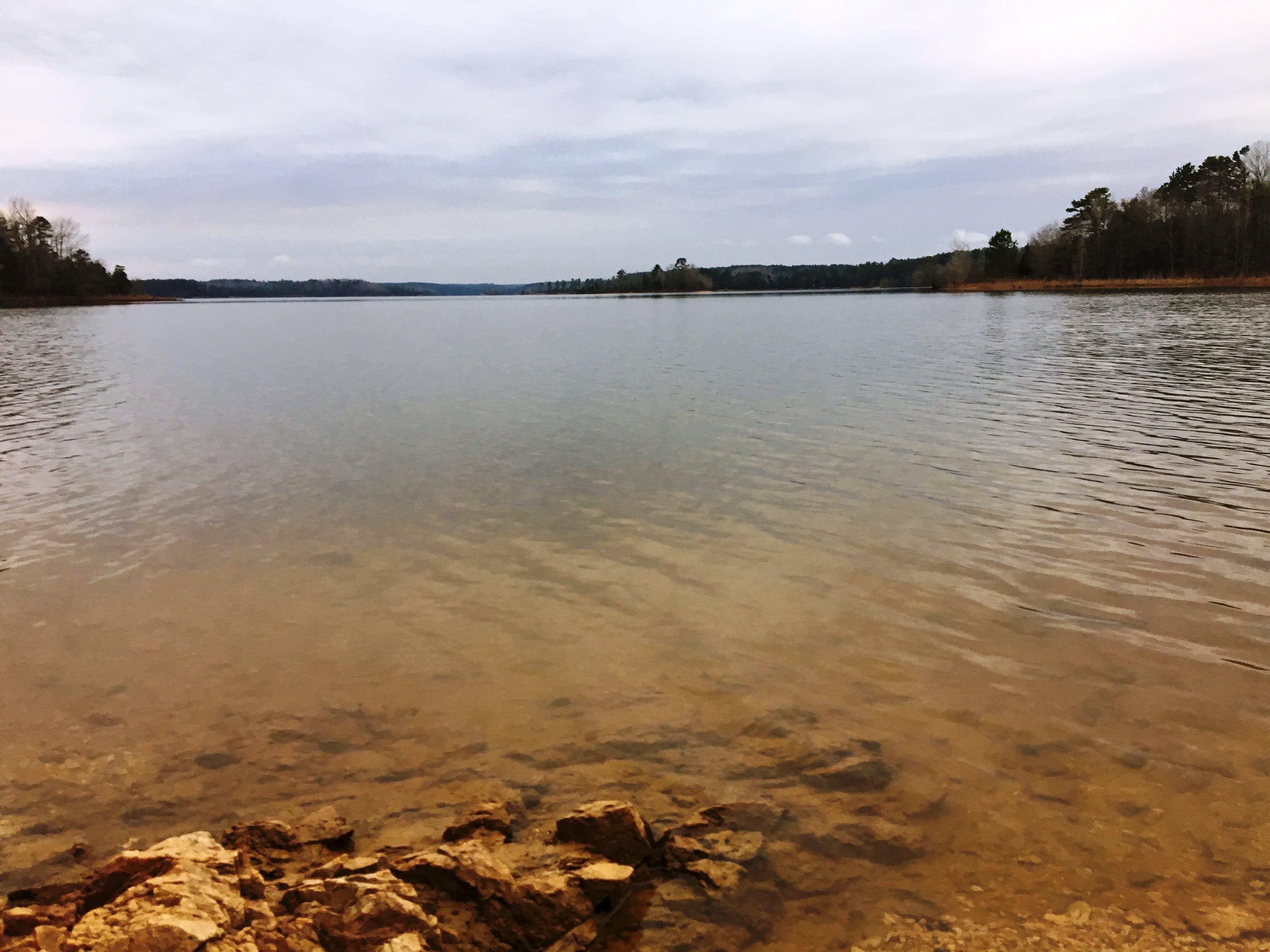 105 acres in Calhoun Falls, SC, LandWatch