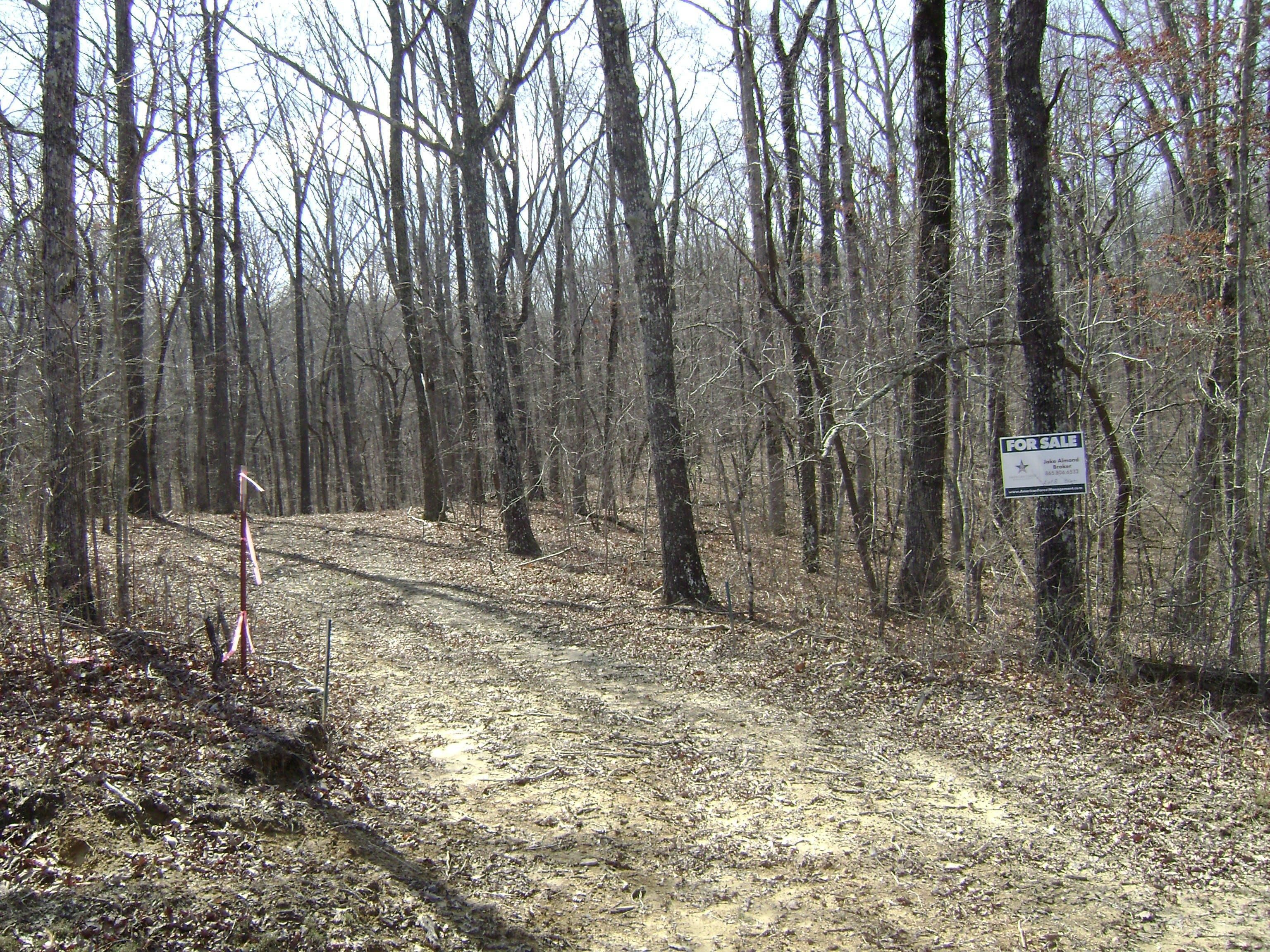 Dunlap, Sequatchie County, TN Recreational Property, Undeveloped Land