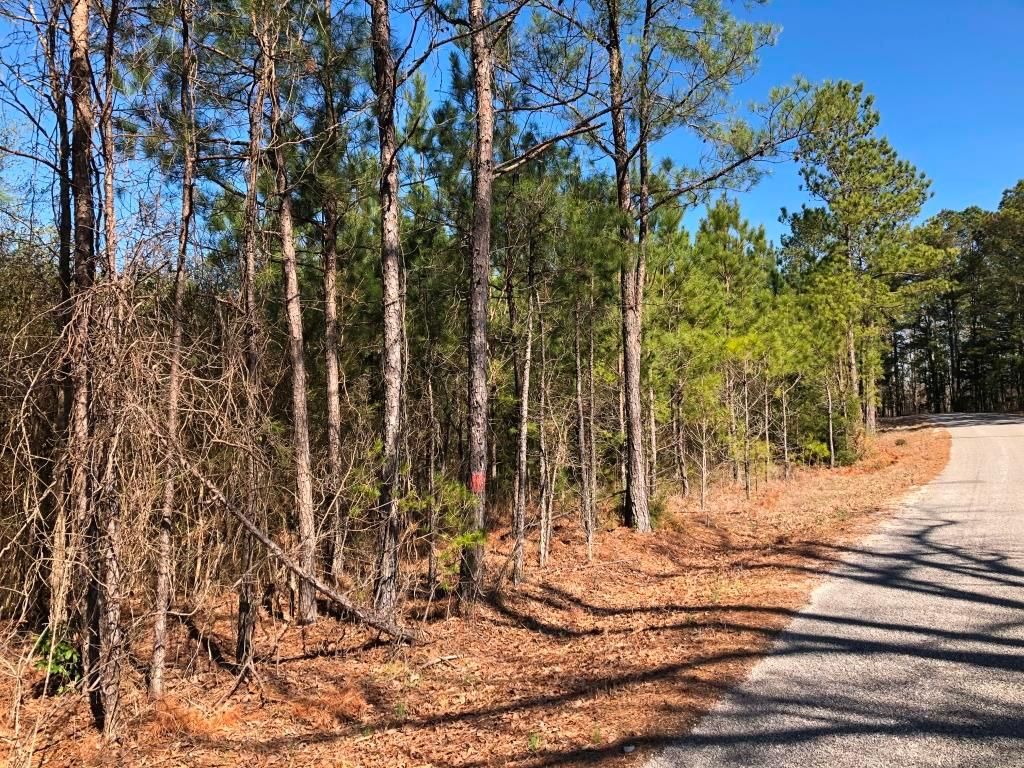 Fairview, Itawamba County, MS Recreational Property, Timberland