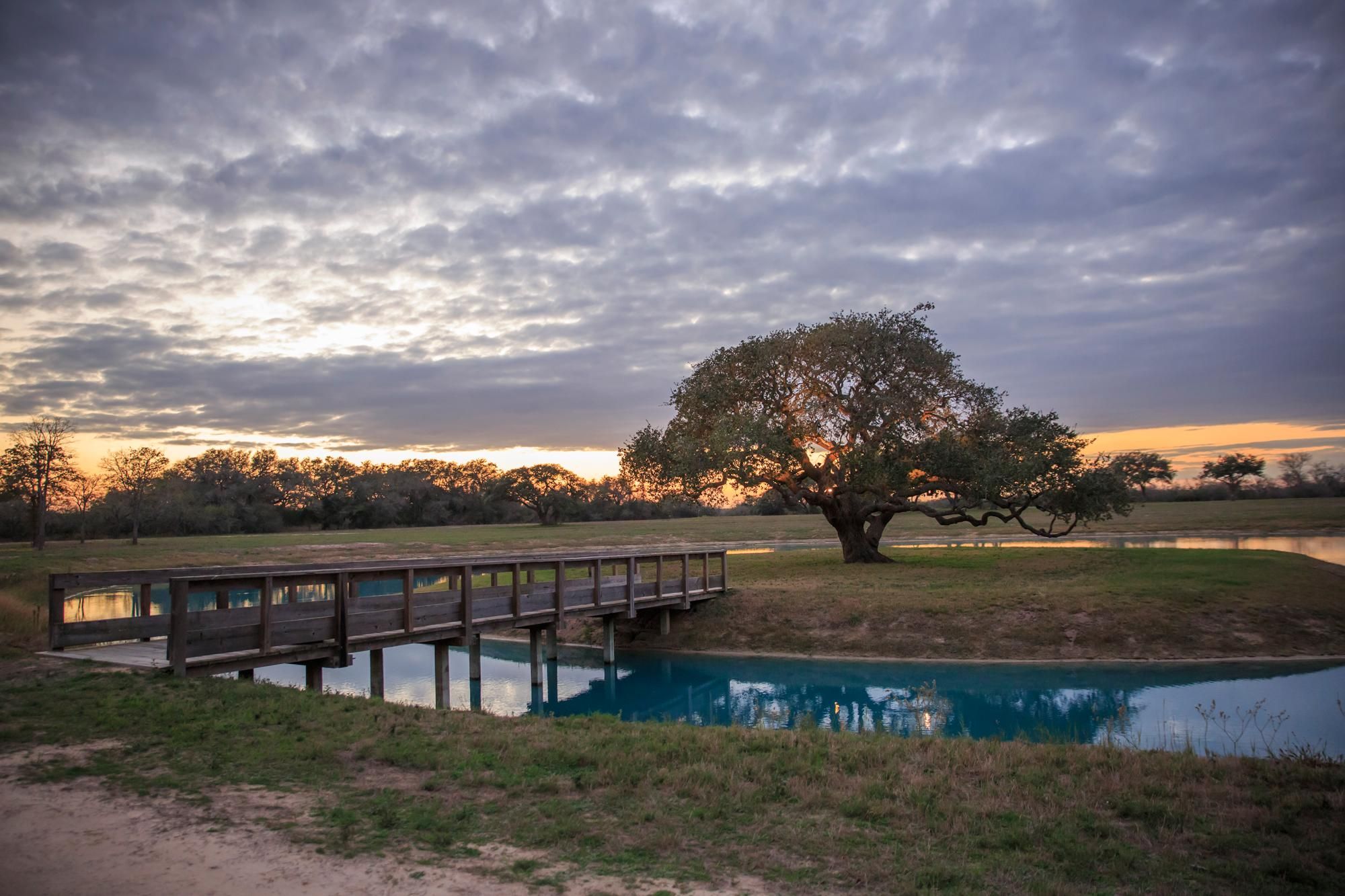 Goliad, Goliad County, TX Farms and Ranches, Hunting Property