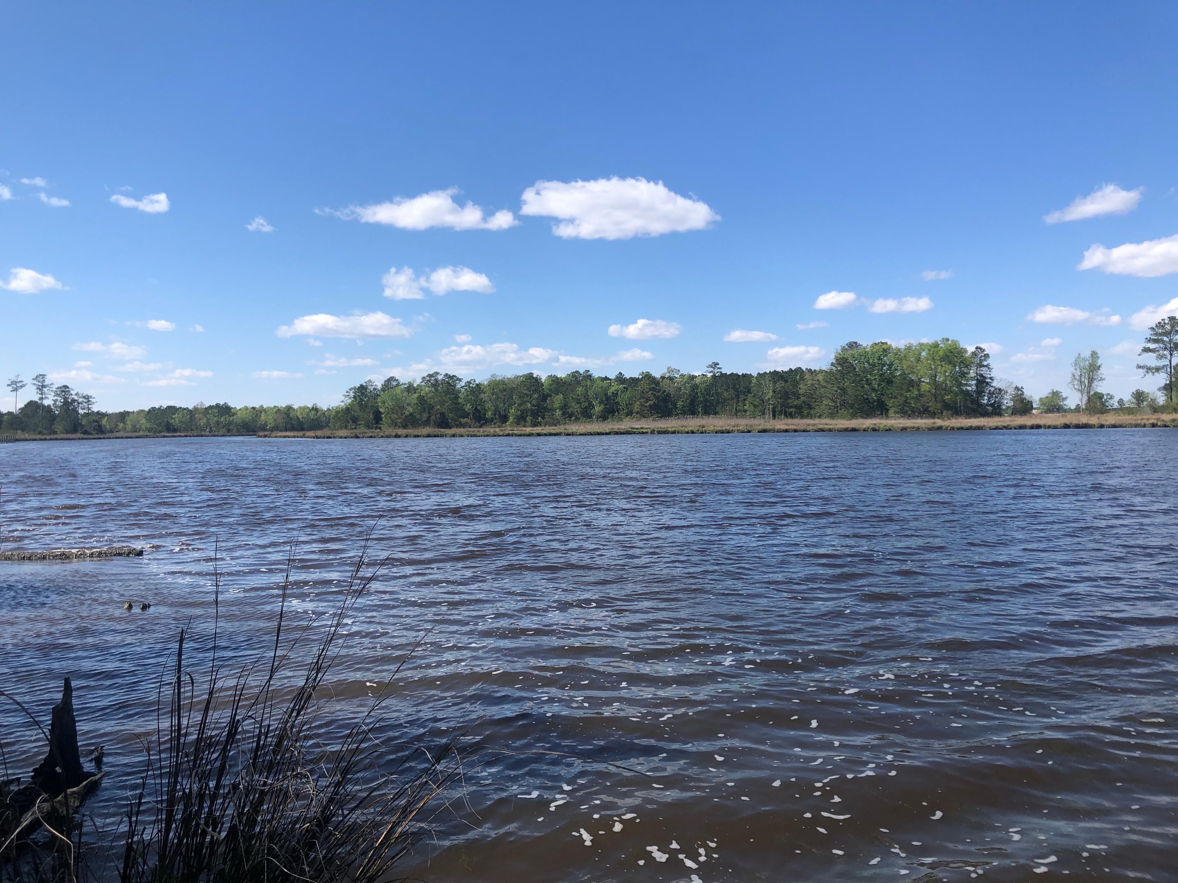 0 Ashton Drive, Bath, NC 27808 MLS 100383280 LandWatch