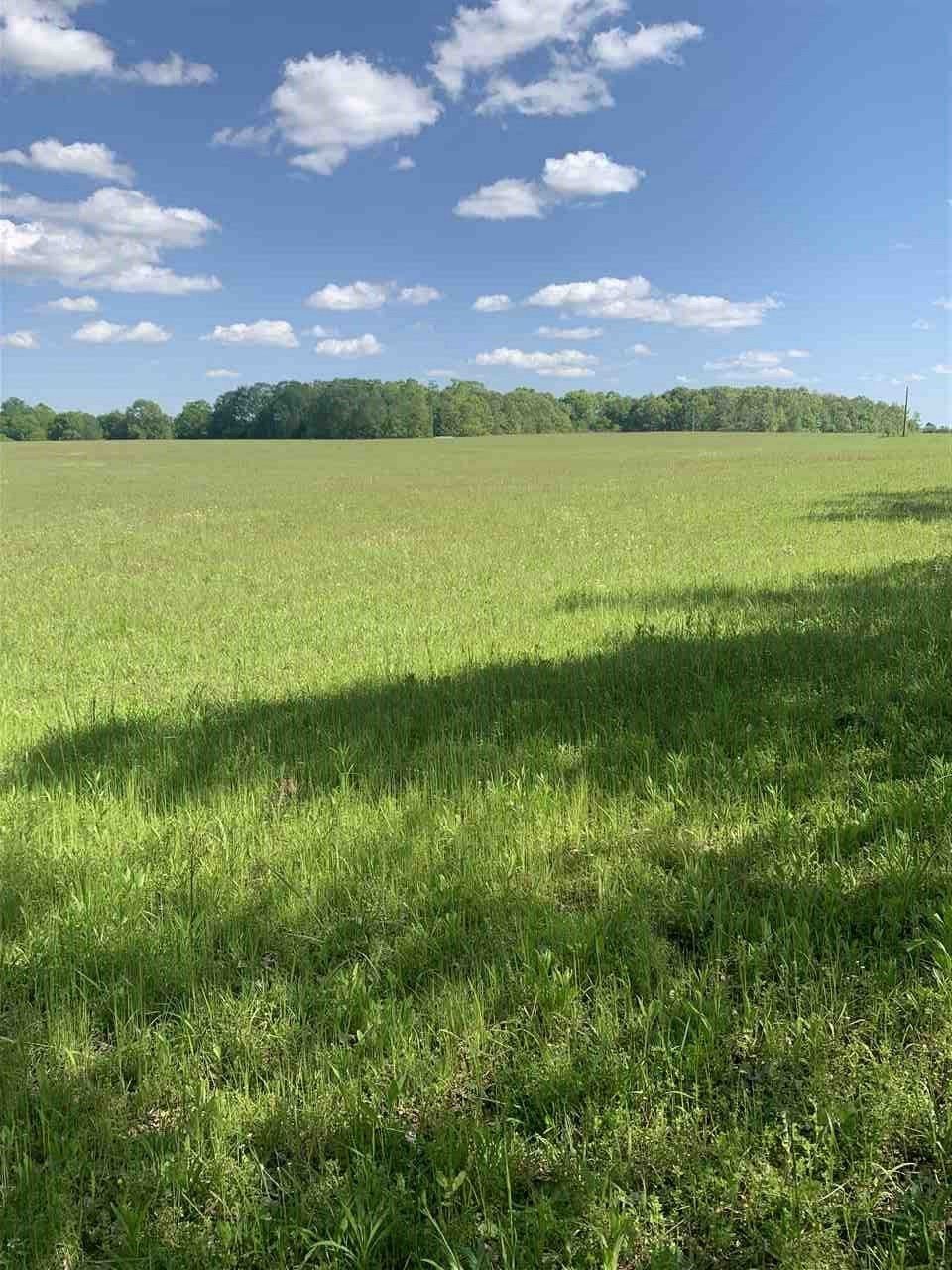 Stantonville, McNairy County, TN Farms and Ranches for sale Property ID