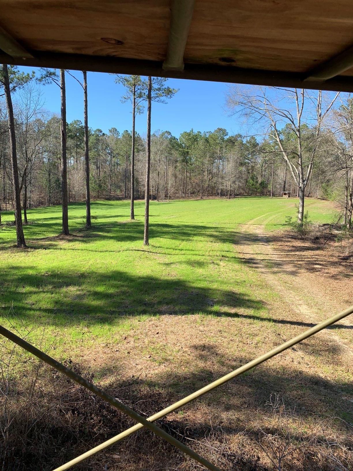 Union Springs, Bullock County, AL Recreational Property, Timberland