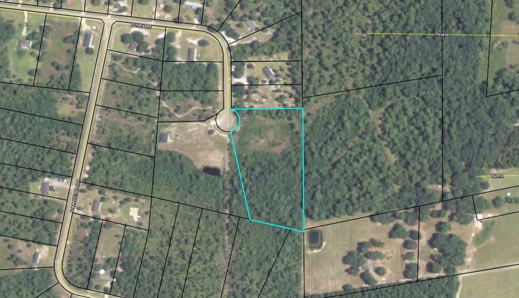 Naylor, Lowndes County, GA Undeveloped Land, Homesites for sale