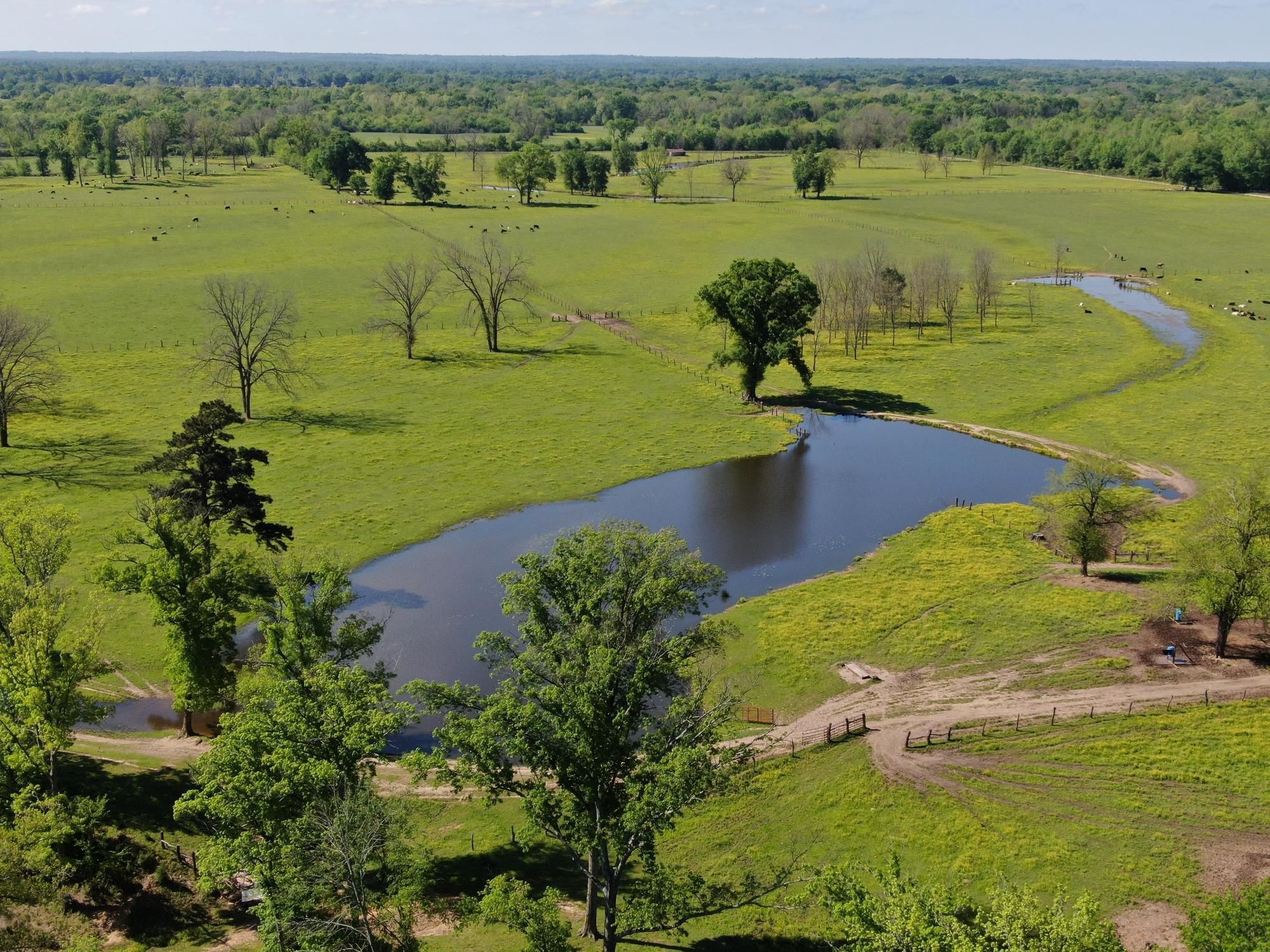 3 hrs N of Dallas, TX;, Broken Bow, OK LandWatch