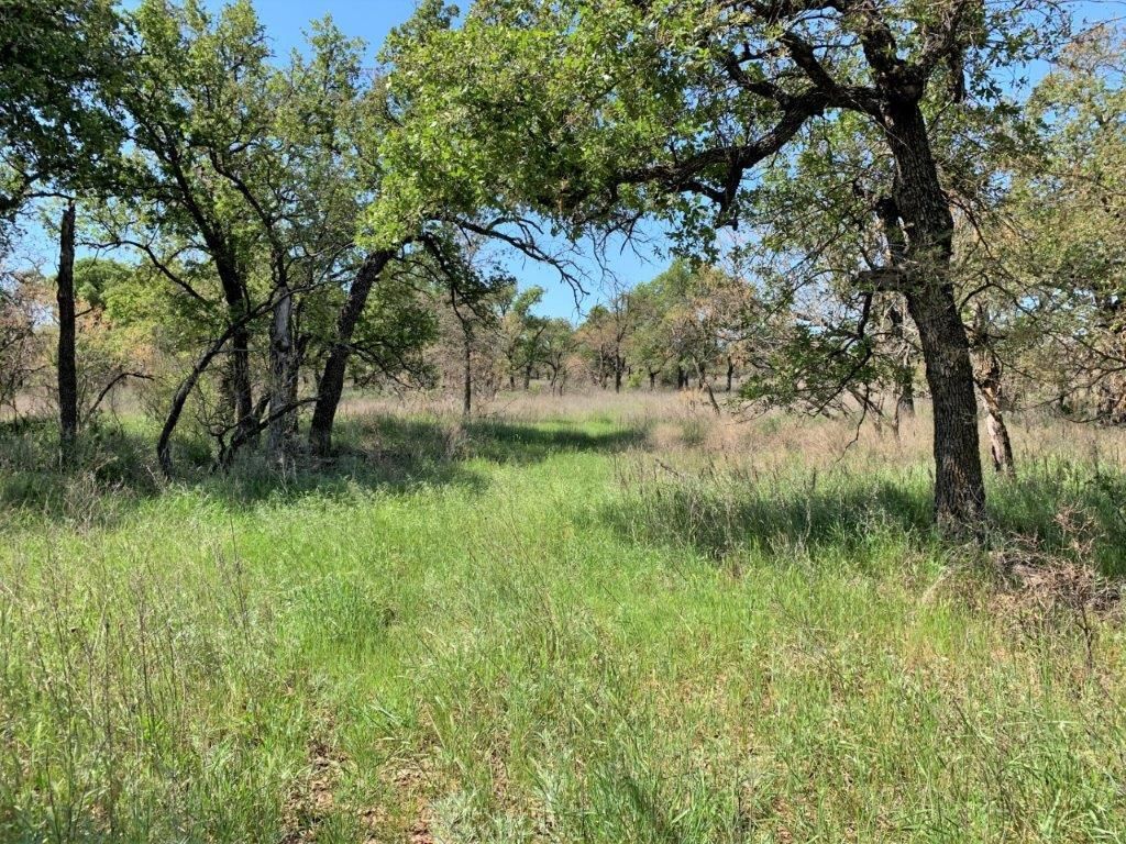 Jacksboro, Jack County, TX Farms and Ranches, Recreational Property
