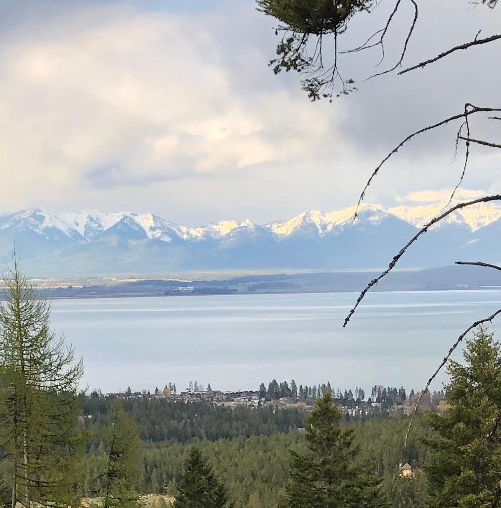 Lakeside, Flathead County, MT Undeveloped Land for sale Property ID