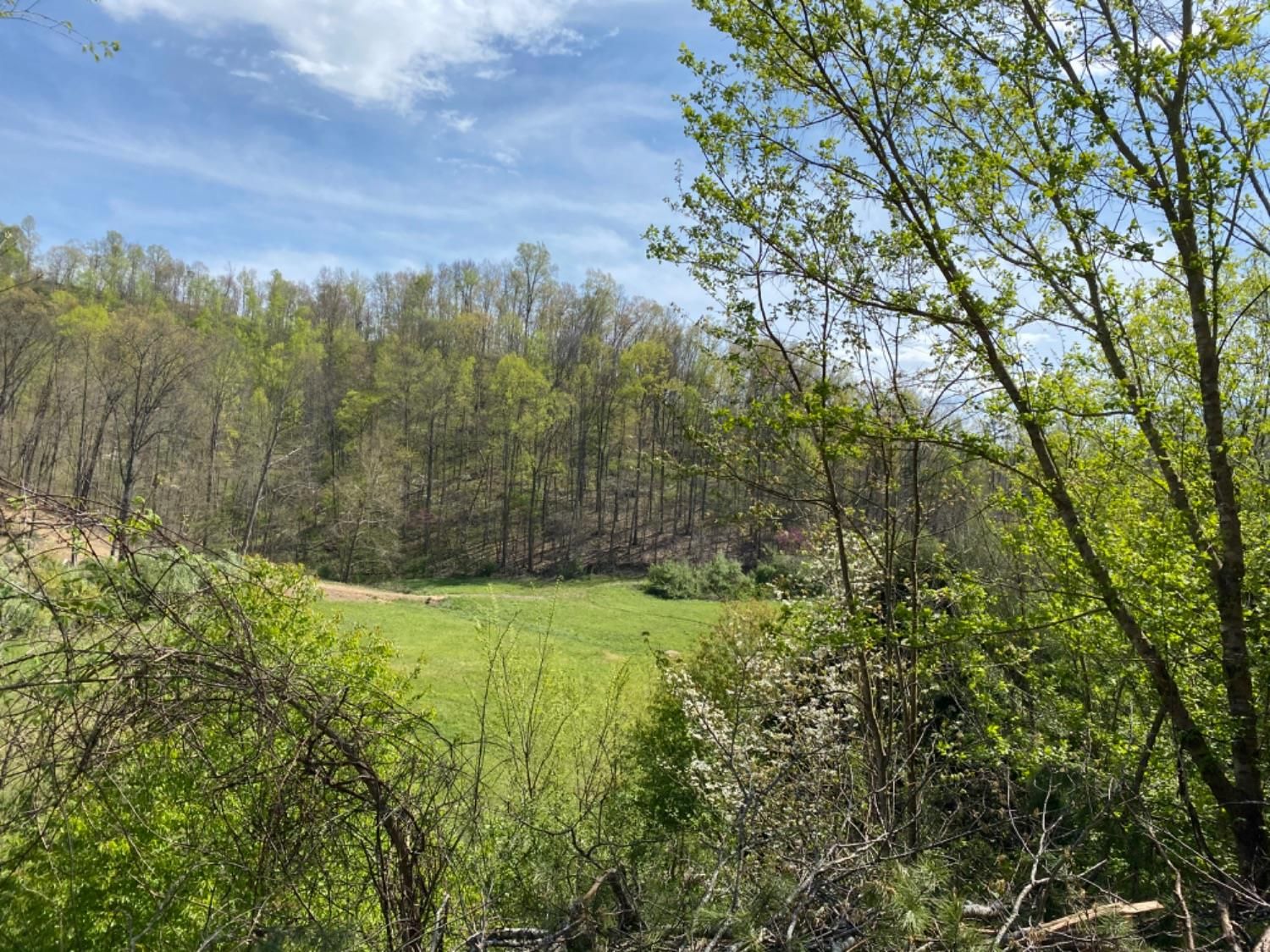 Bimble, Knox County, KY Farms and Ranches for sale Property ID