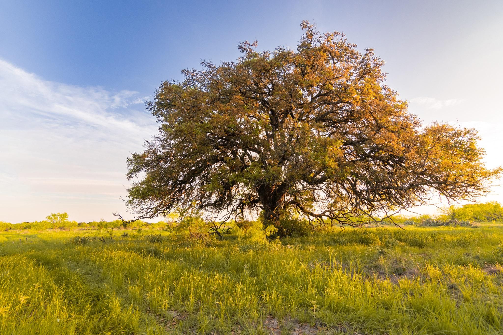 Christoval, Schleicher County, TX Farms and Ranches, Recreational