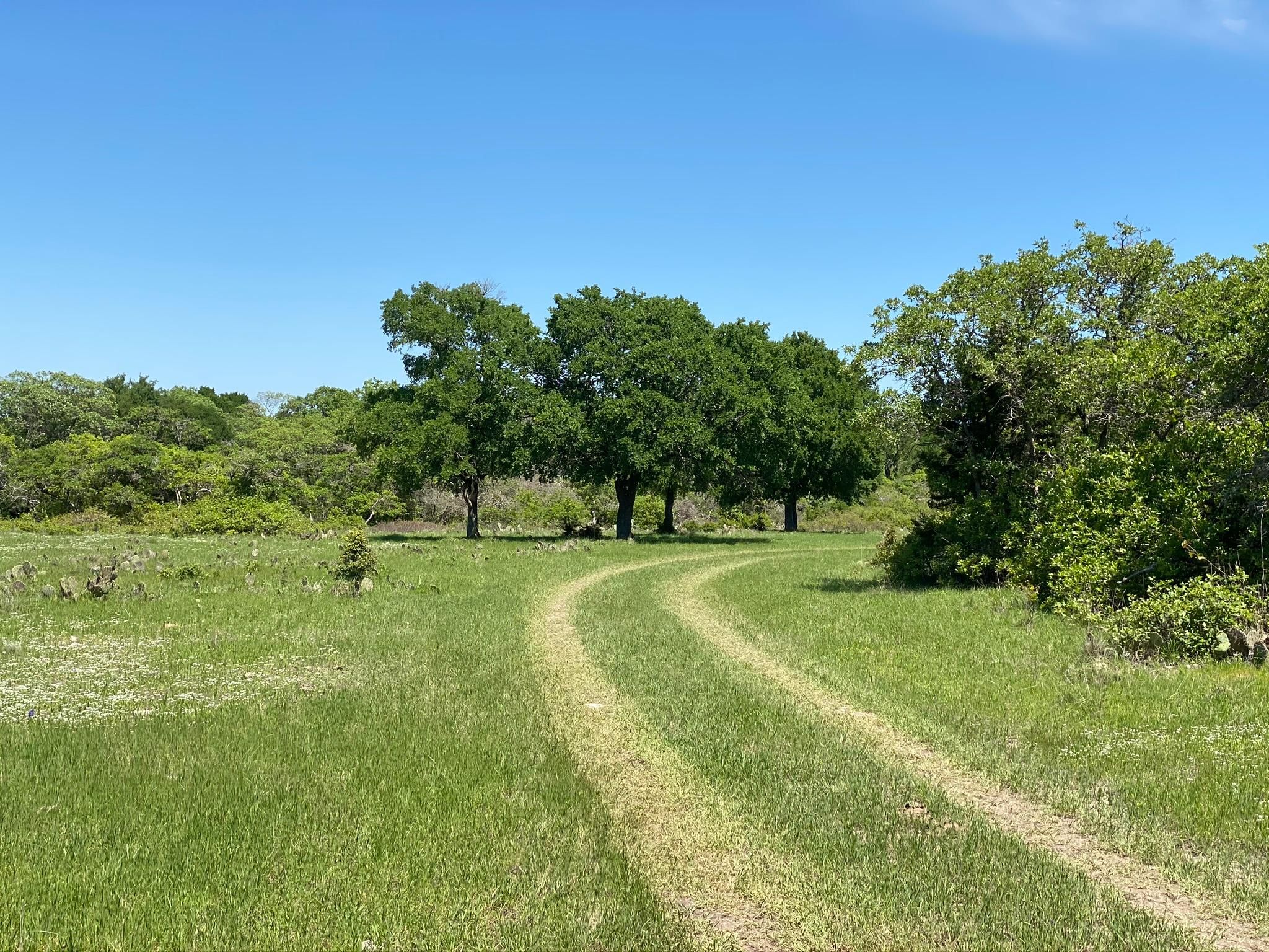 CR 624, Pottsville, TX 76531 LandWatch