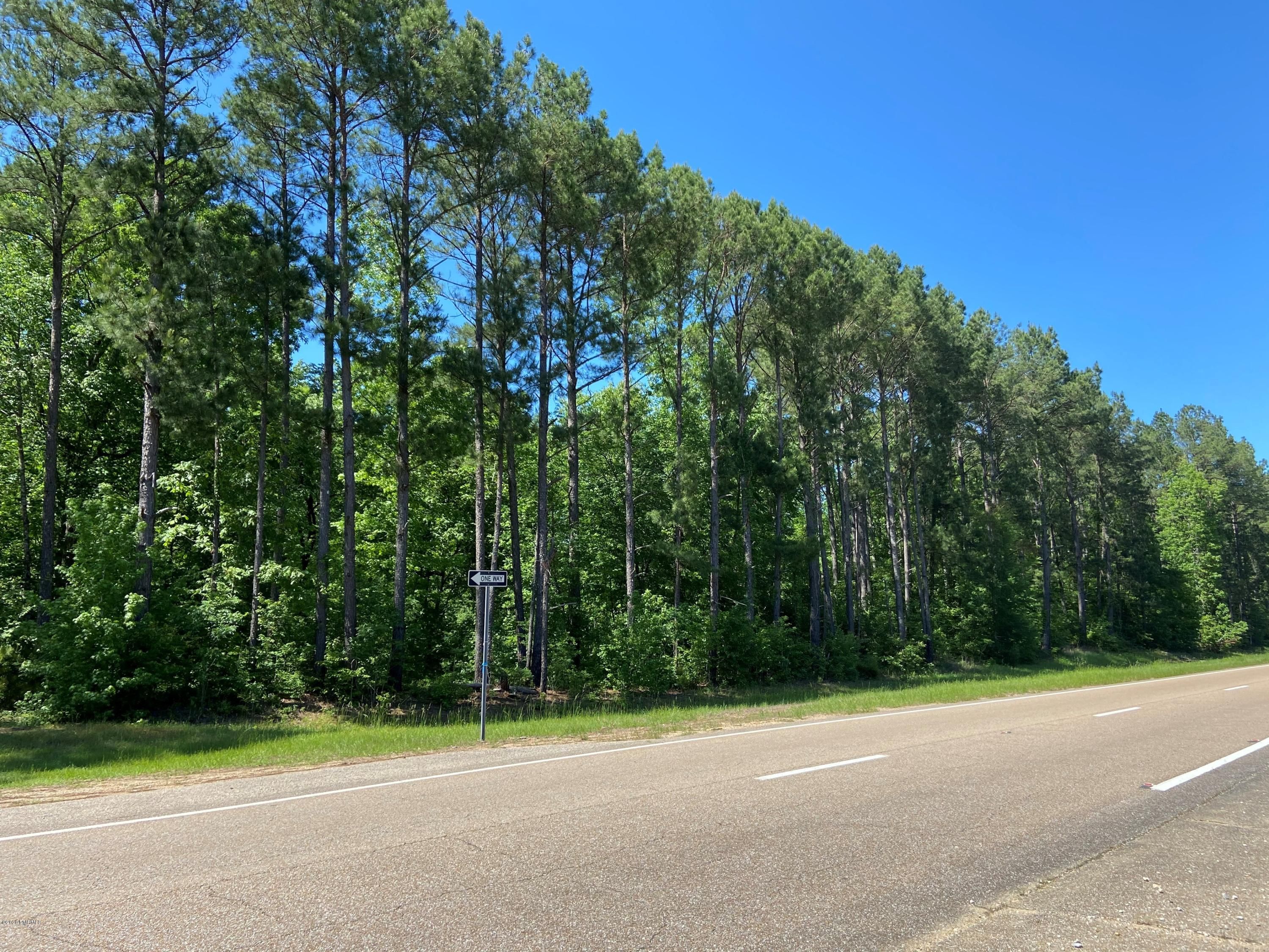 Meridian, Lauderdale County, MS Undeveloped Land for sale Property ID