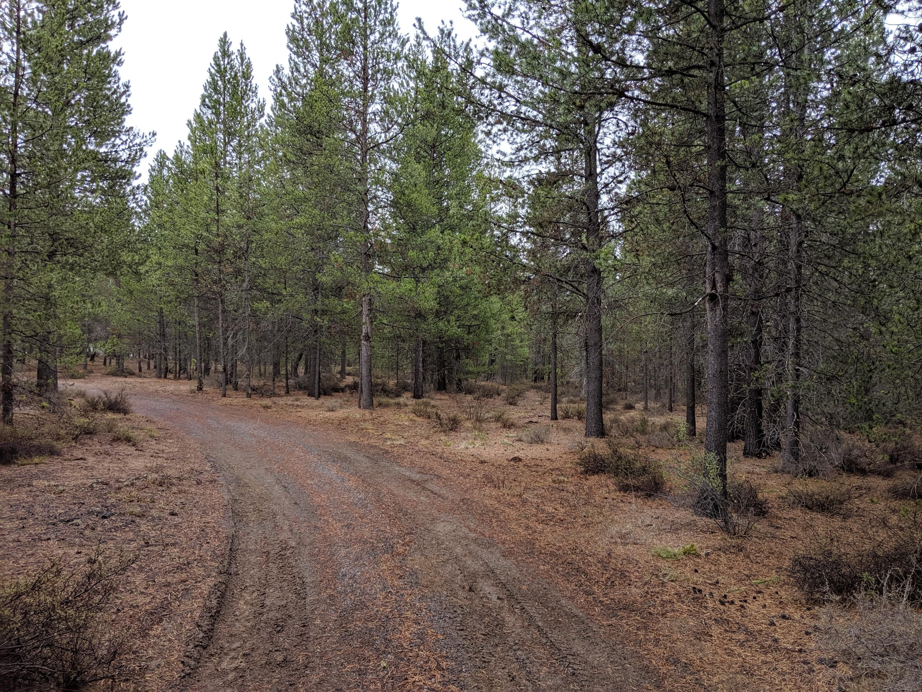 La Pine, Deschutes County, OR Undeveloped Land for sale Property ID