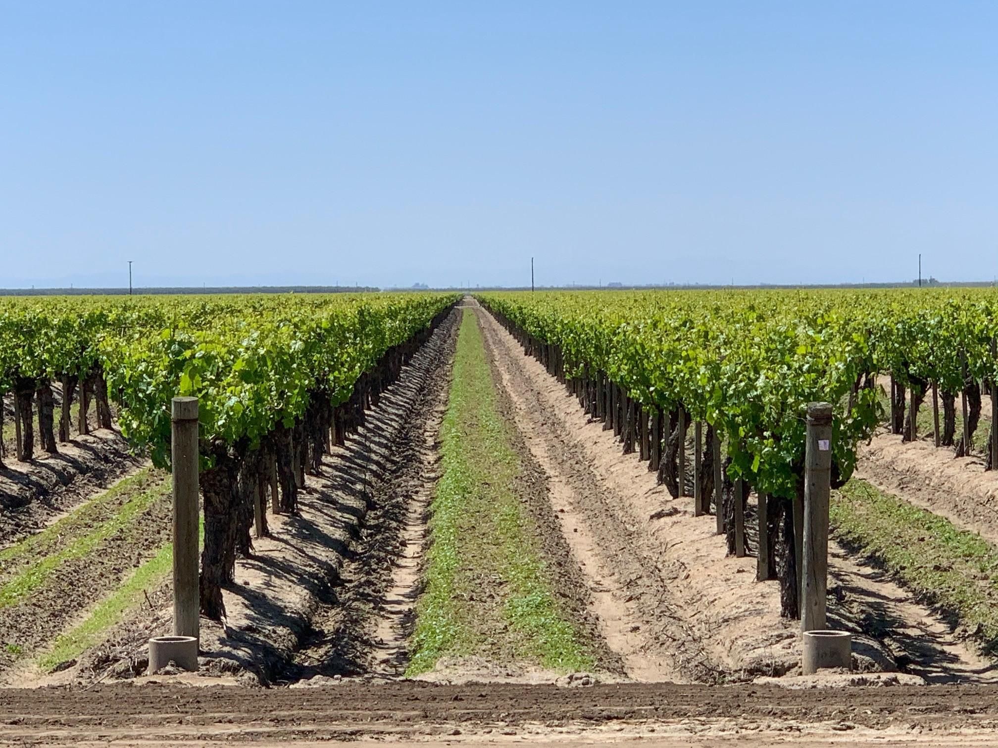 Earlimart, Tulare County, CA Farms and Ranches for sale Property ID 337911927 LandWatch