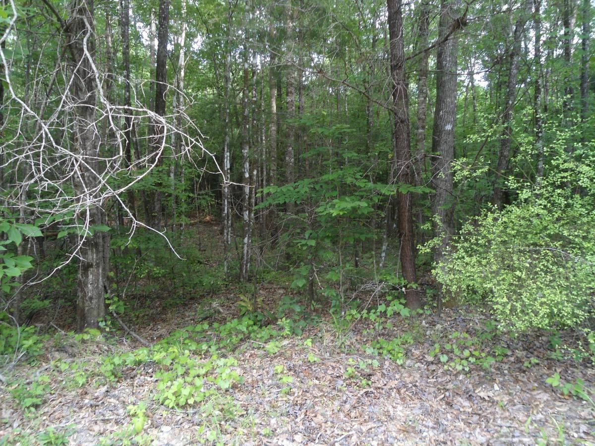 Ararat, Choctaw County, AL Recreational Property, Timberland Property