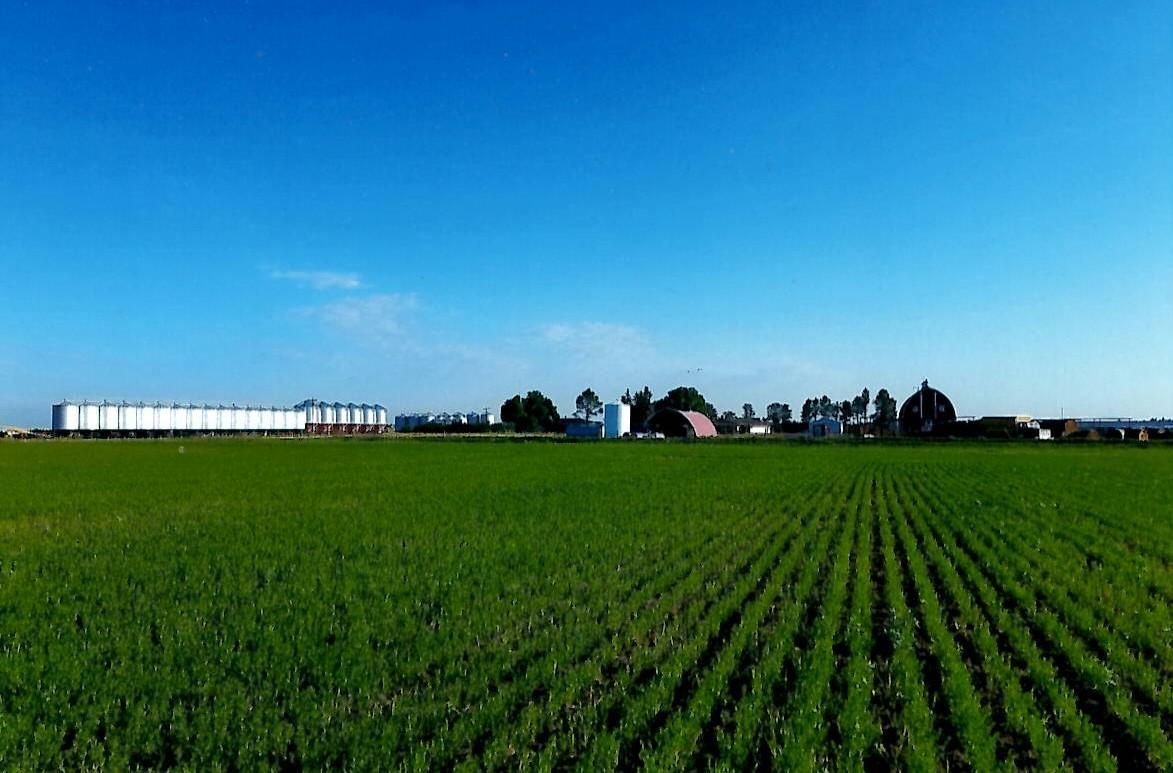 Saco, Phillips County, MT Farms and Ranches, House for sale Property ID