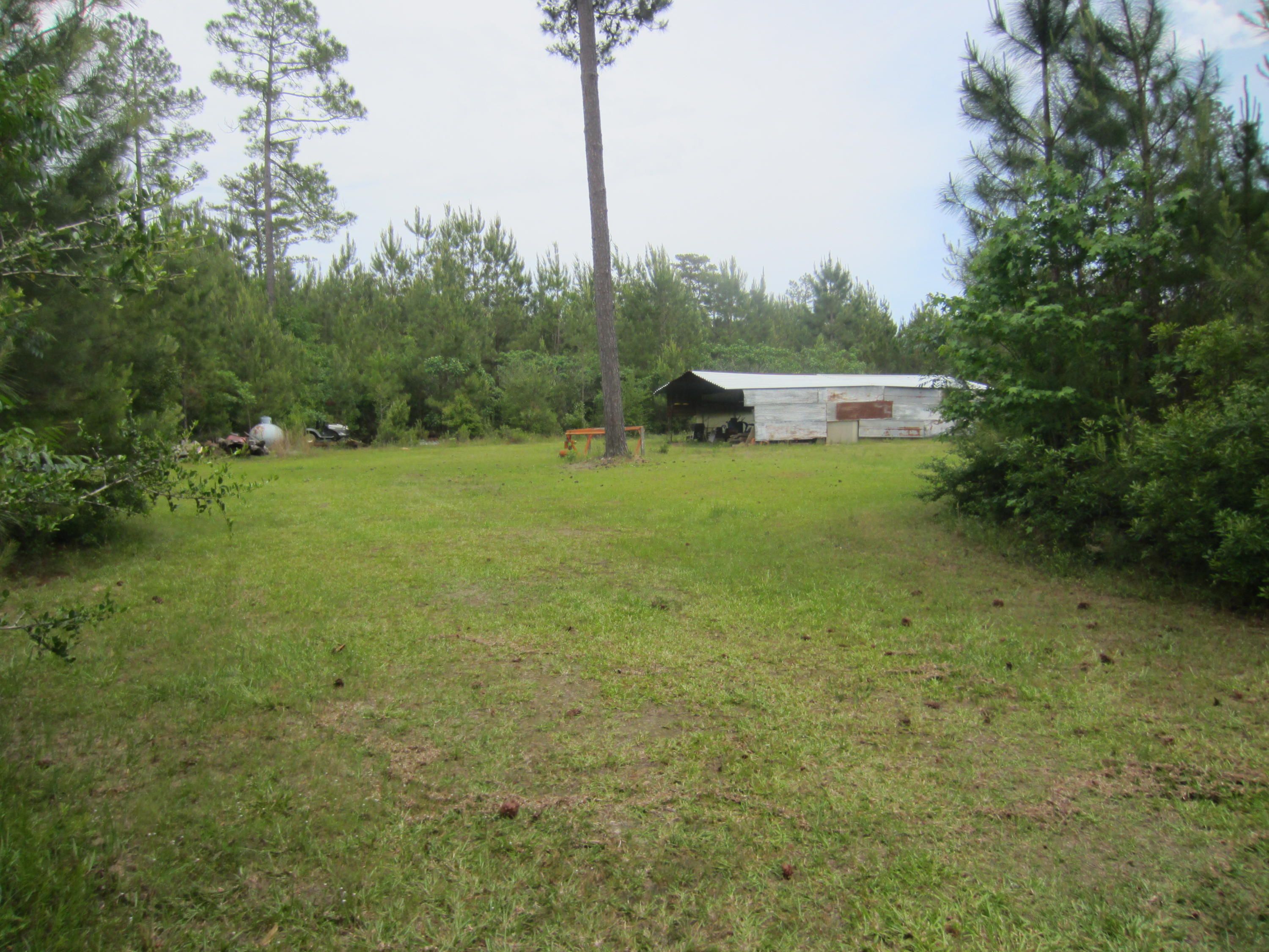 Waynesboro, Wayne County, MS Undeveloped Land for sale Property ID