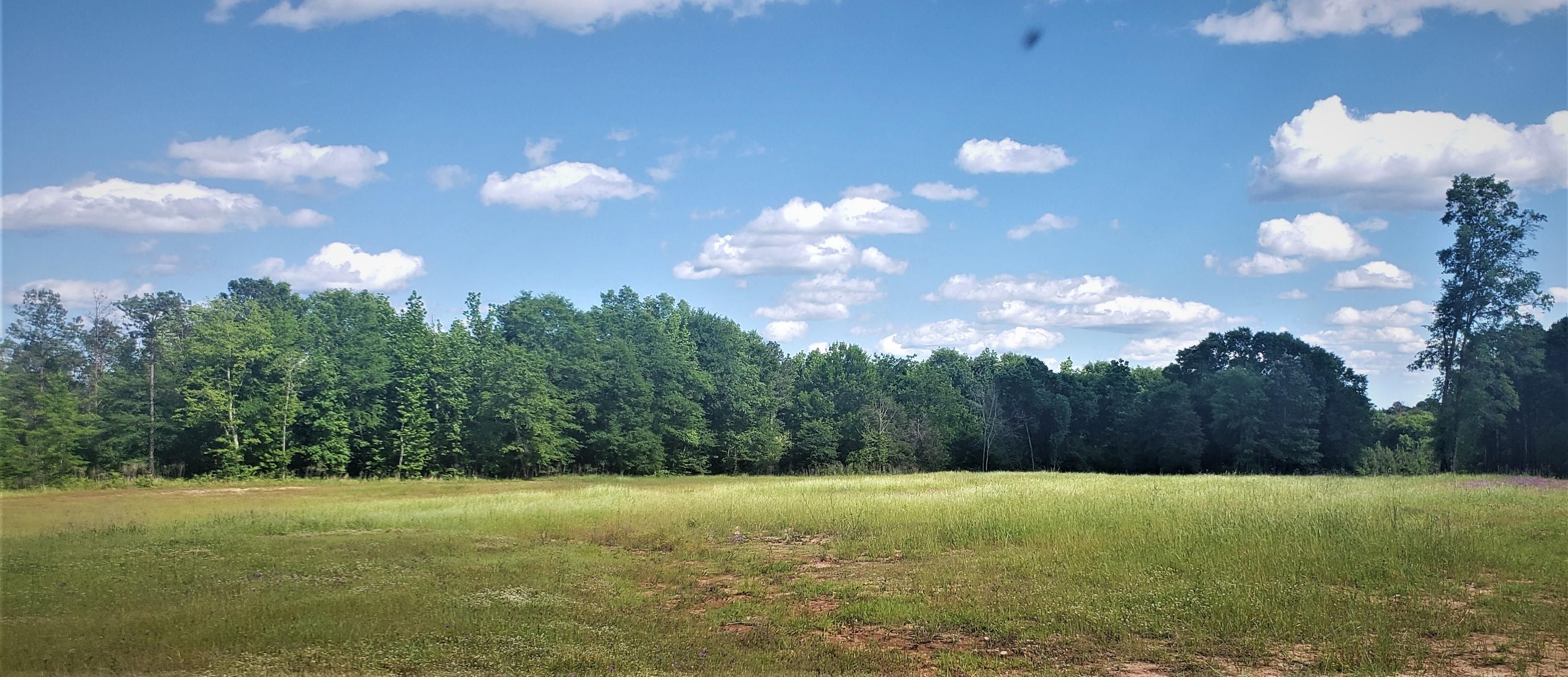 Linden, Marengo County, AL Timberland Property, Hunting Property for