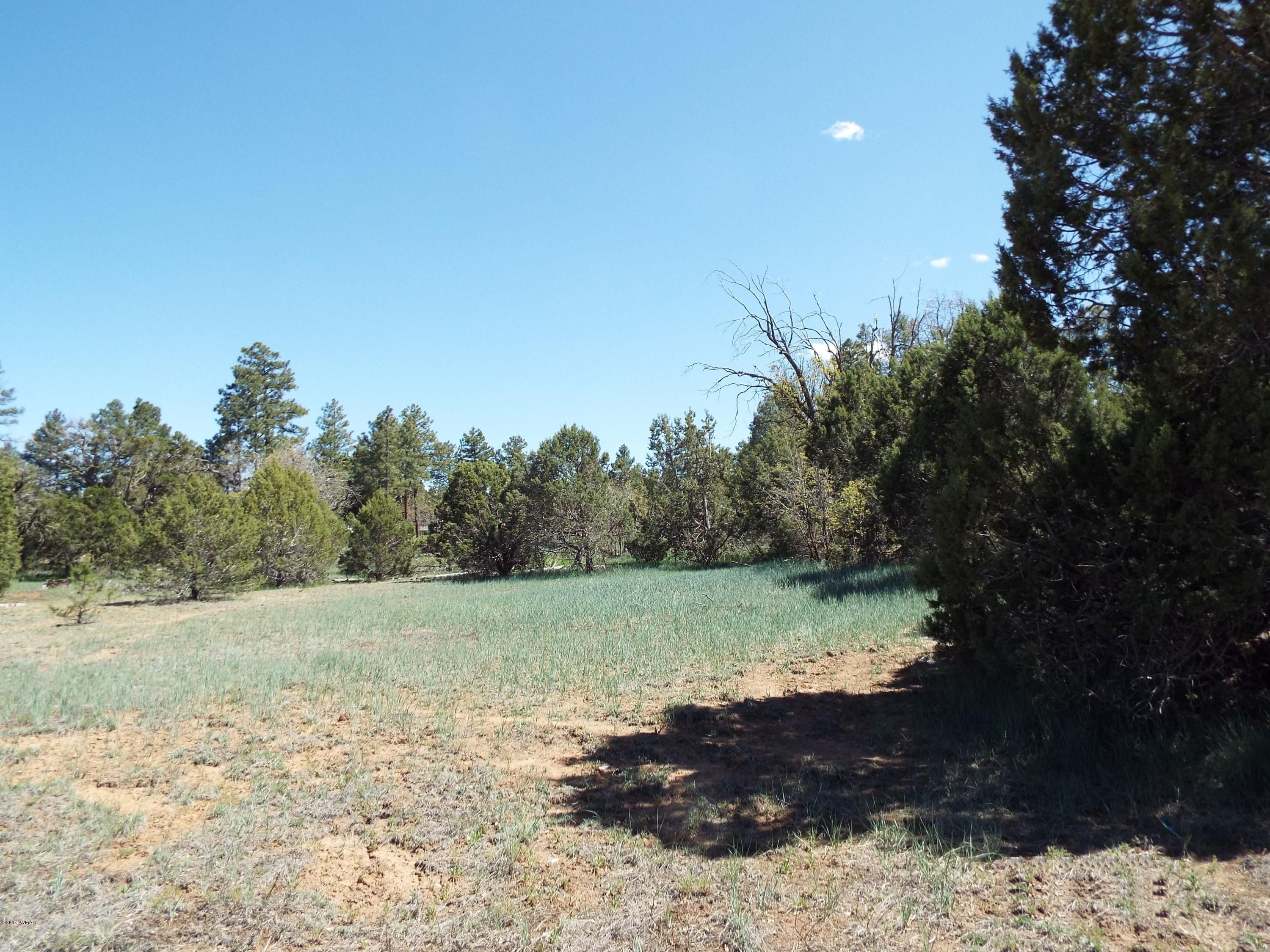 Pinedale, Navajo County, AZ Undeveloped Land, Homesites for sale