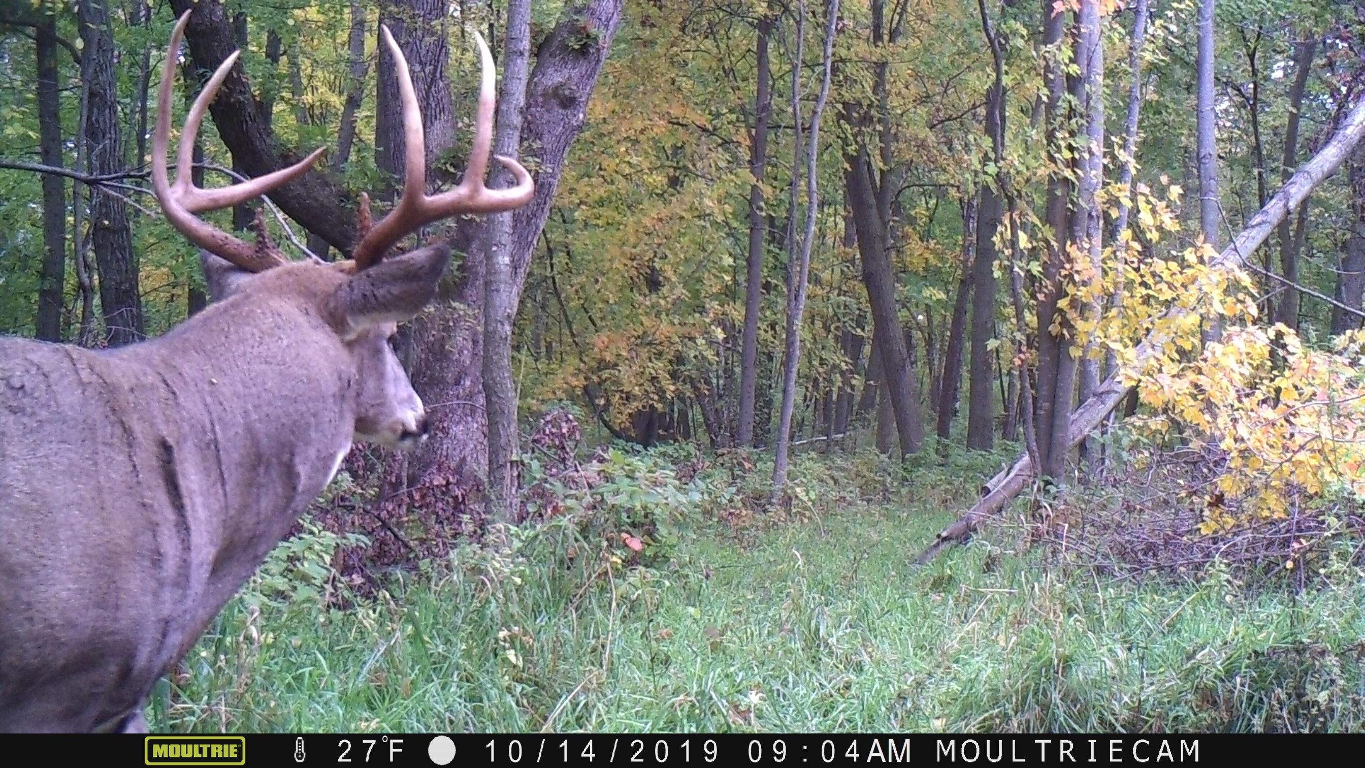 Mindoro, La Crosse County, WI Recreational Property, Hunting Property