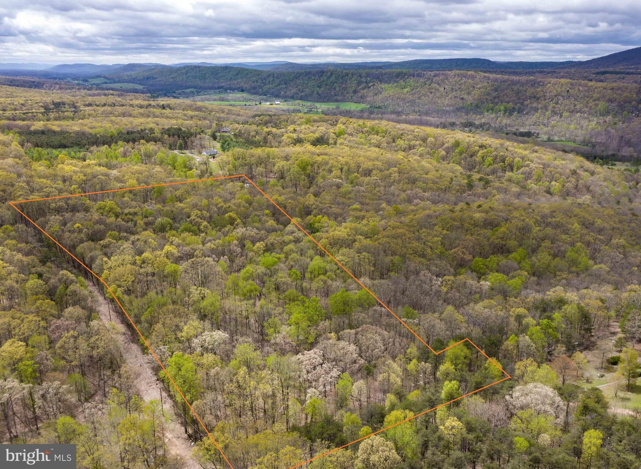 Cross Junction, Frederick County, VA Undeveloped Land for sale Property