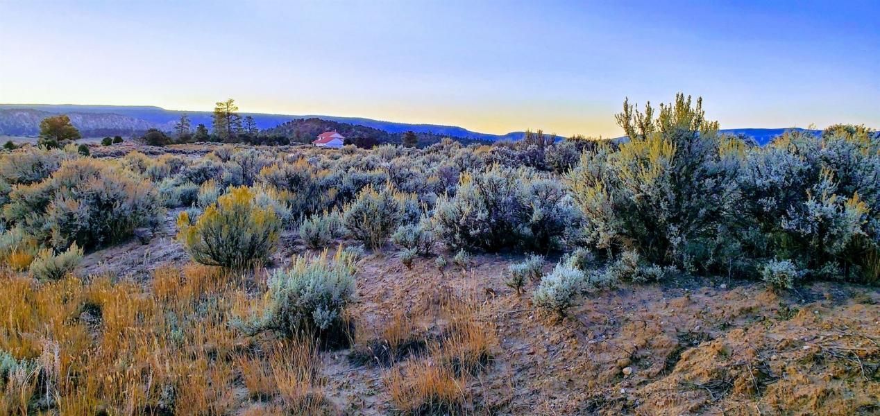 Regina, Rio Arriba County, NM Recreational Property, Hunting Property