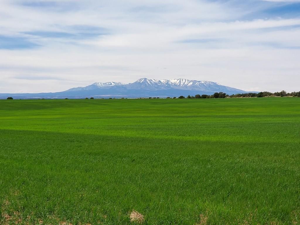 Monticello, San Juan County, UT Farms and Ranches, Hunting Property for