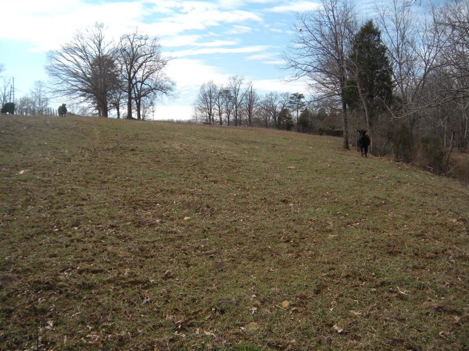 Owingsville, Bath County, KY Farms and Ranches for sale Property ID