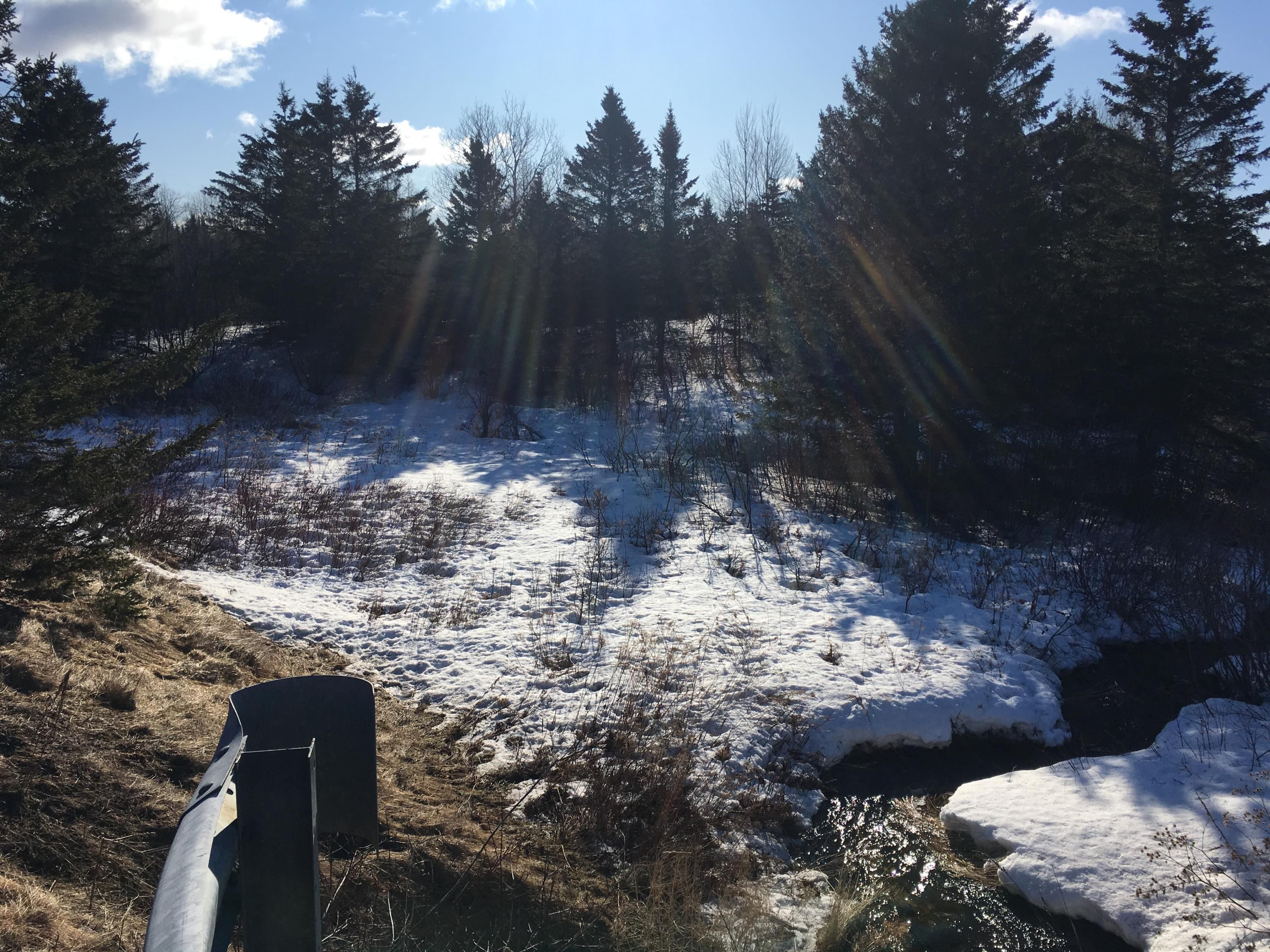 Limestone, Aroostook County, ME Undeveloped Land for sale Property ID