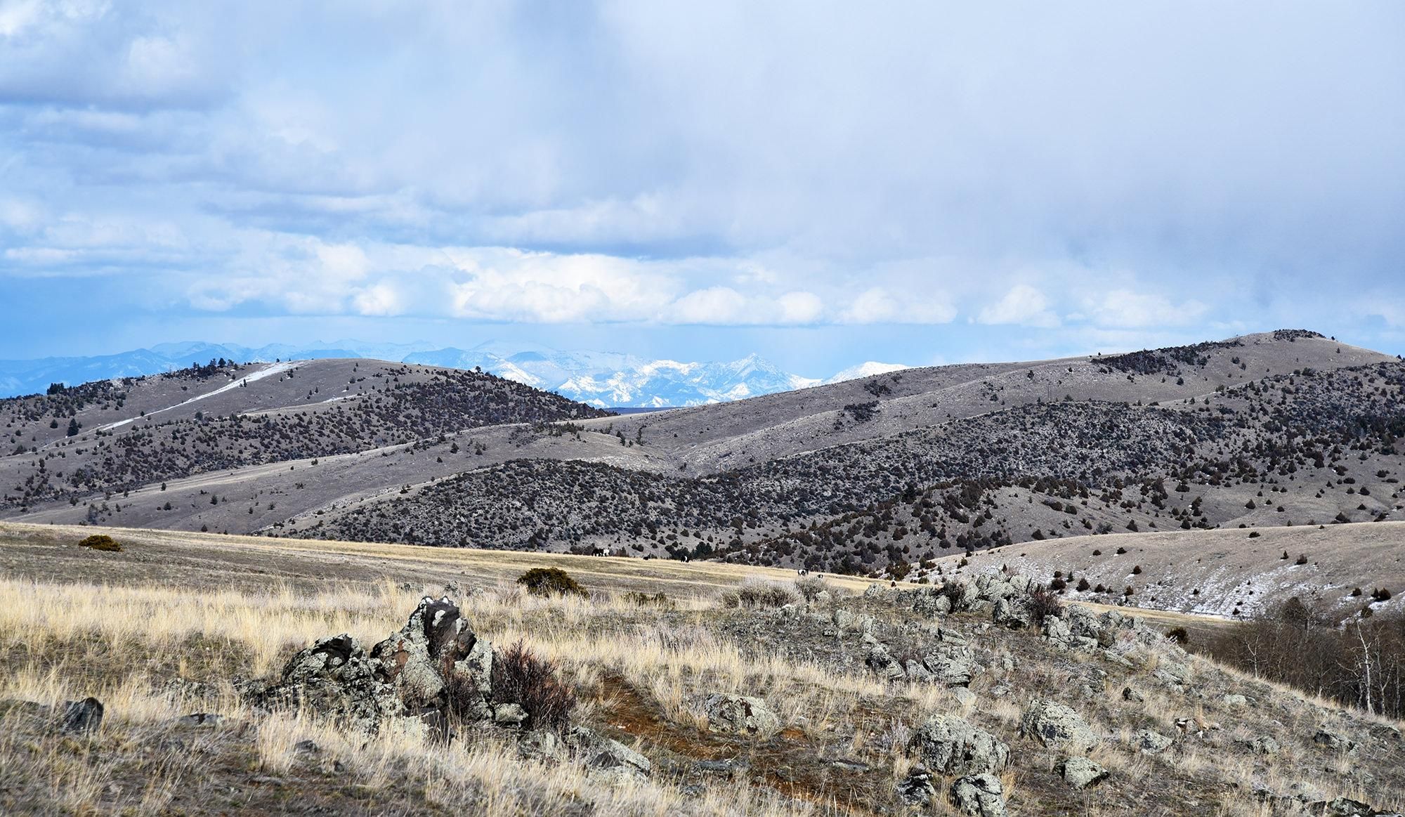 Pony, Madison County, MT Undeveloped Land for sale Property ID