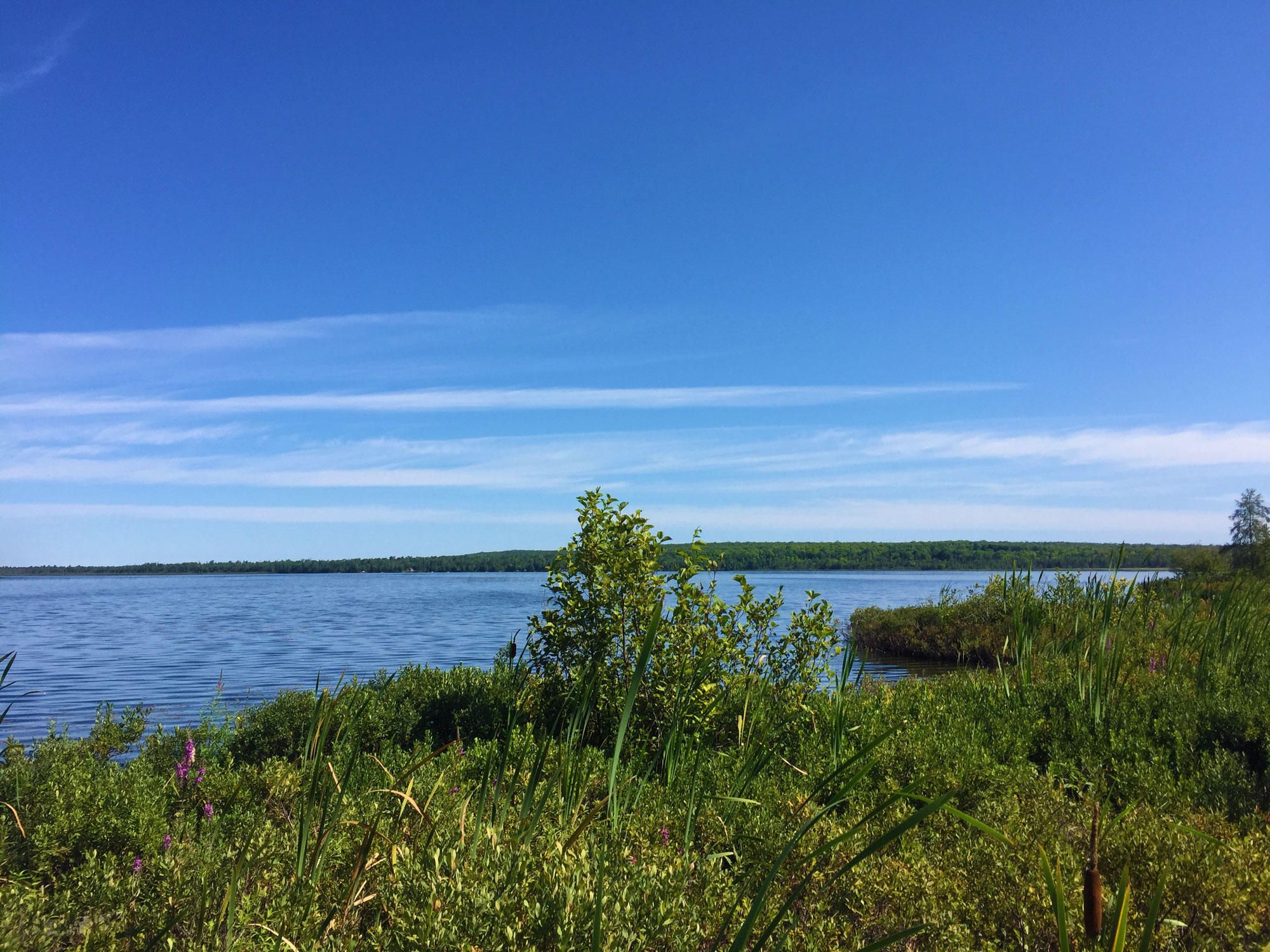 Moran, Mackinac County, MI Undeveloped Land for sale Property ID