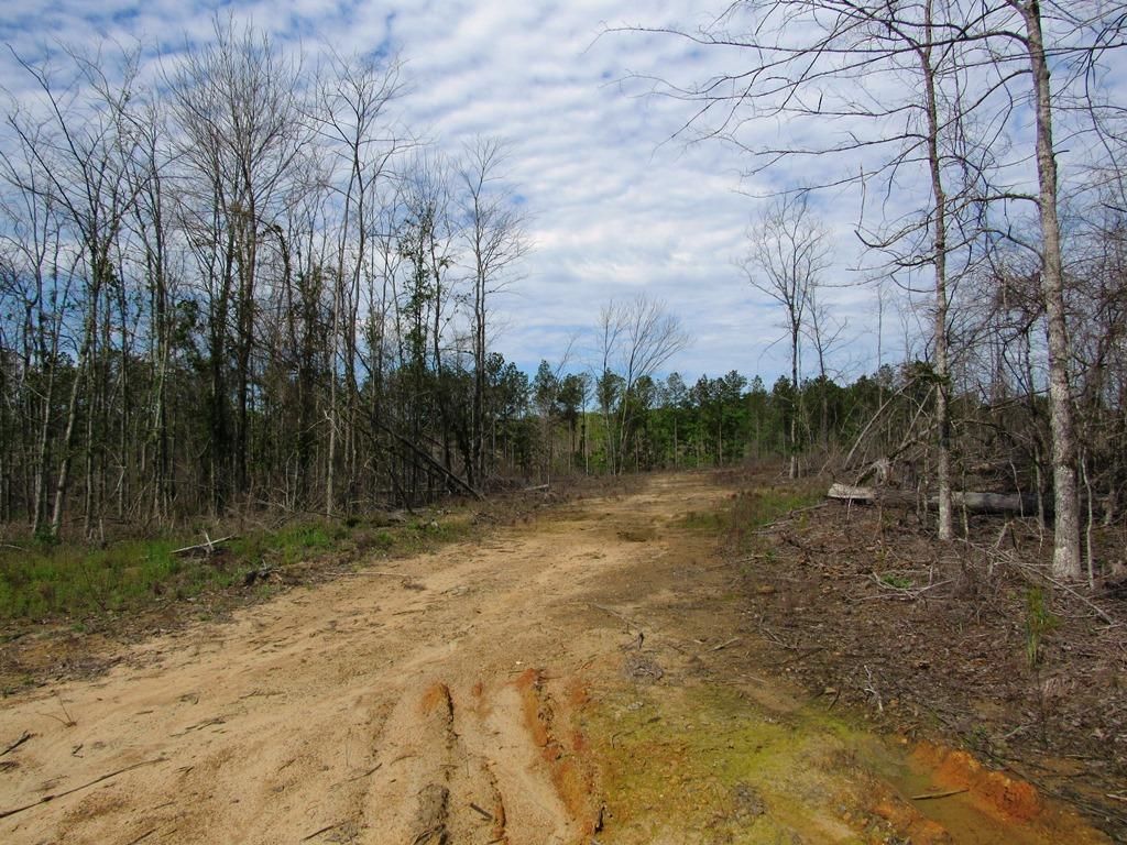 Lincolnton, Lincoln County, GA Recreational Property, Timberland