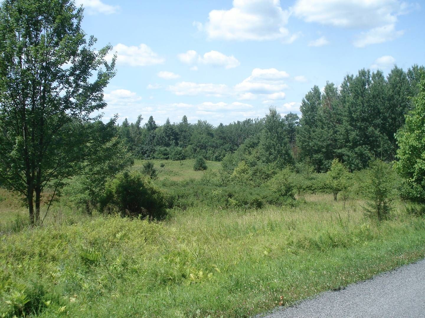 Afton, Chenango County, NY Undeveloped Land for sale Property ID