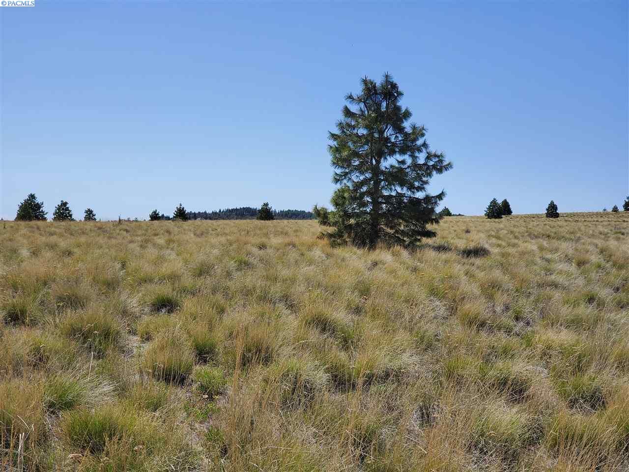 Bickleton, Klickitat County, WA Undeveloped Land for sale Property ID