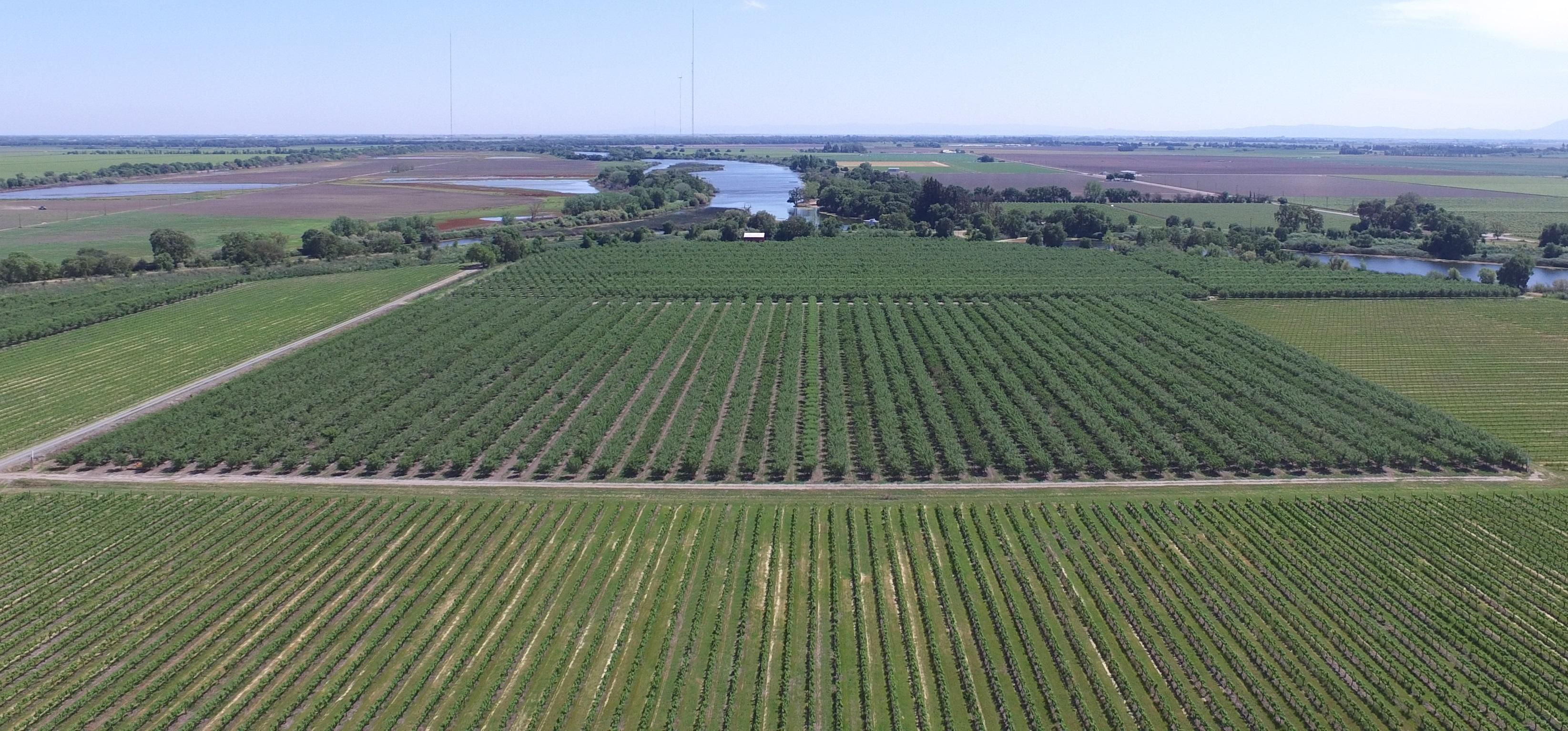 Courtland, Sacramento County, CA Farms and Ranches, Recreational