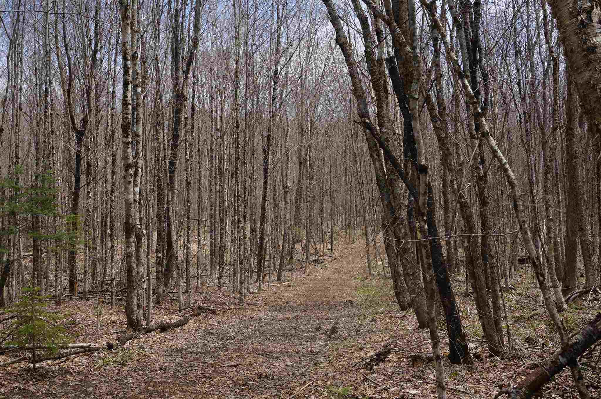 Burke, Caledonia County, VT Undeveloped Land for sale Property ID