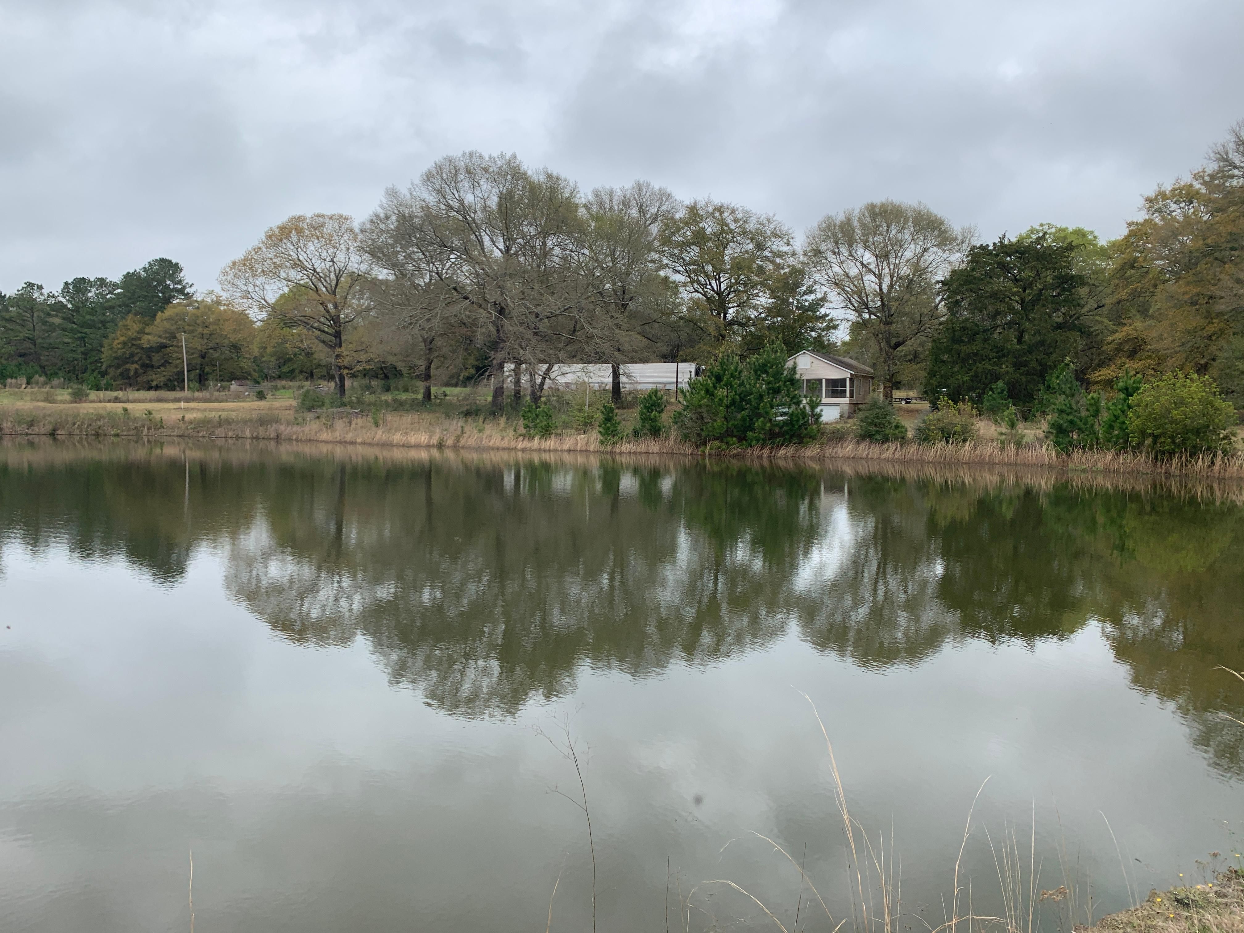 8740 Ferrell Road, Red Level, AL 36474 LandWatch