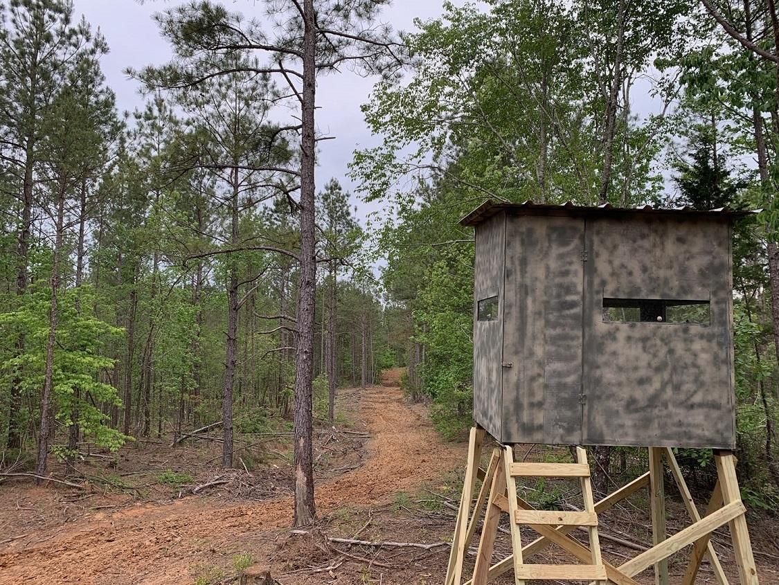 Falkner, Tippah County, MS Recreational Property, Timberland Property