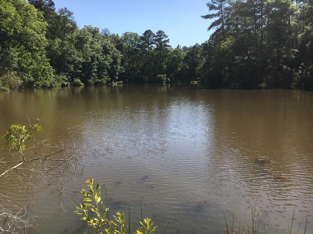 Fortson, Muscogee County, GA Undeveloped Land, Lakefront Property